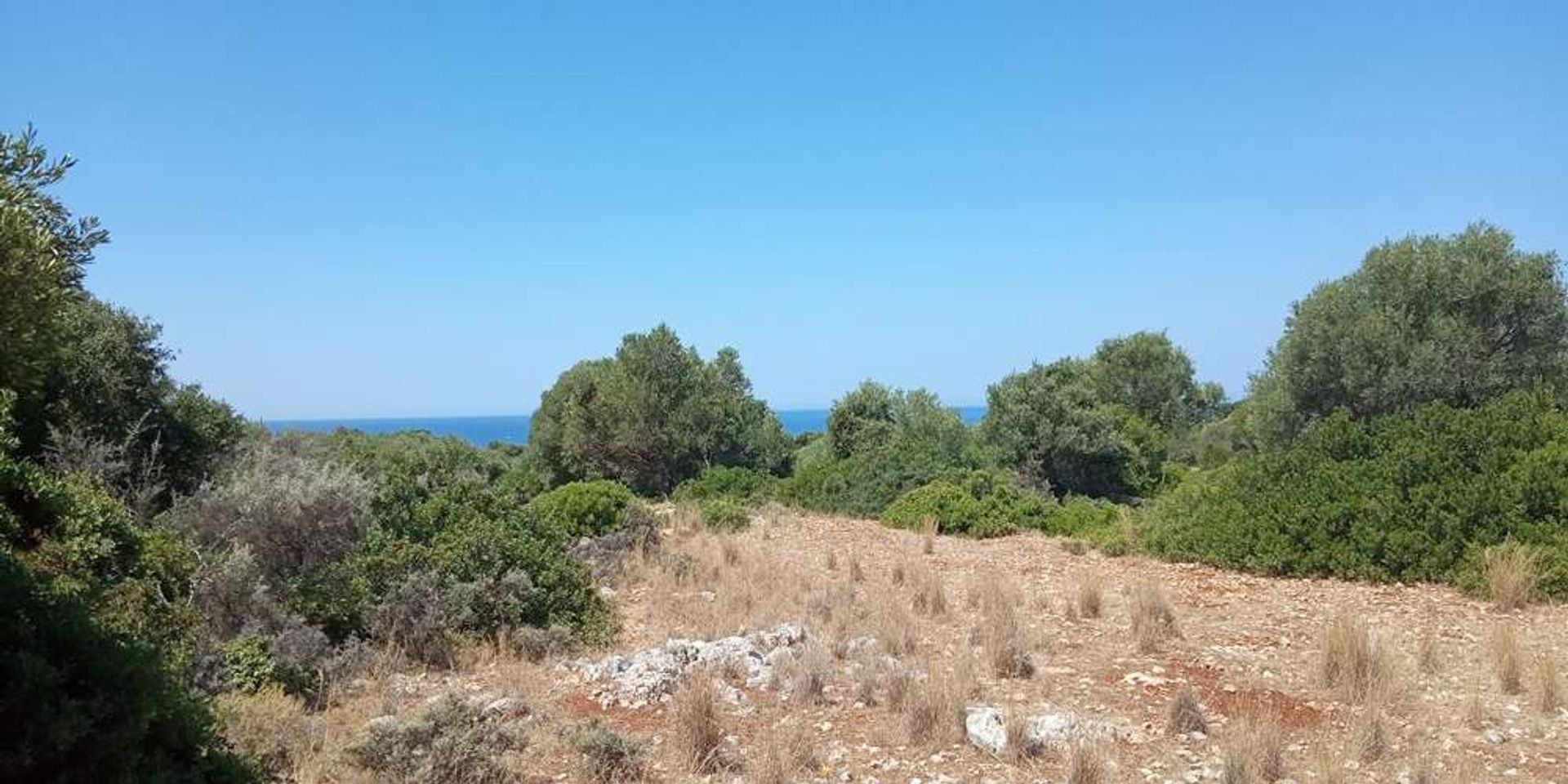 Land i Zakynthos, Zakinthos 10086701