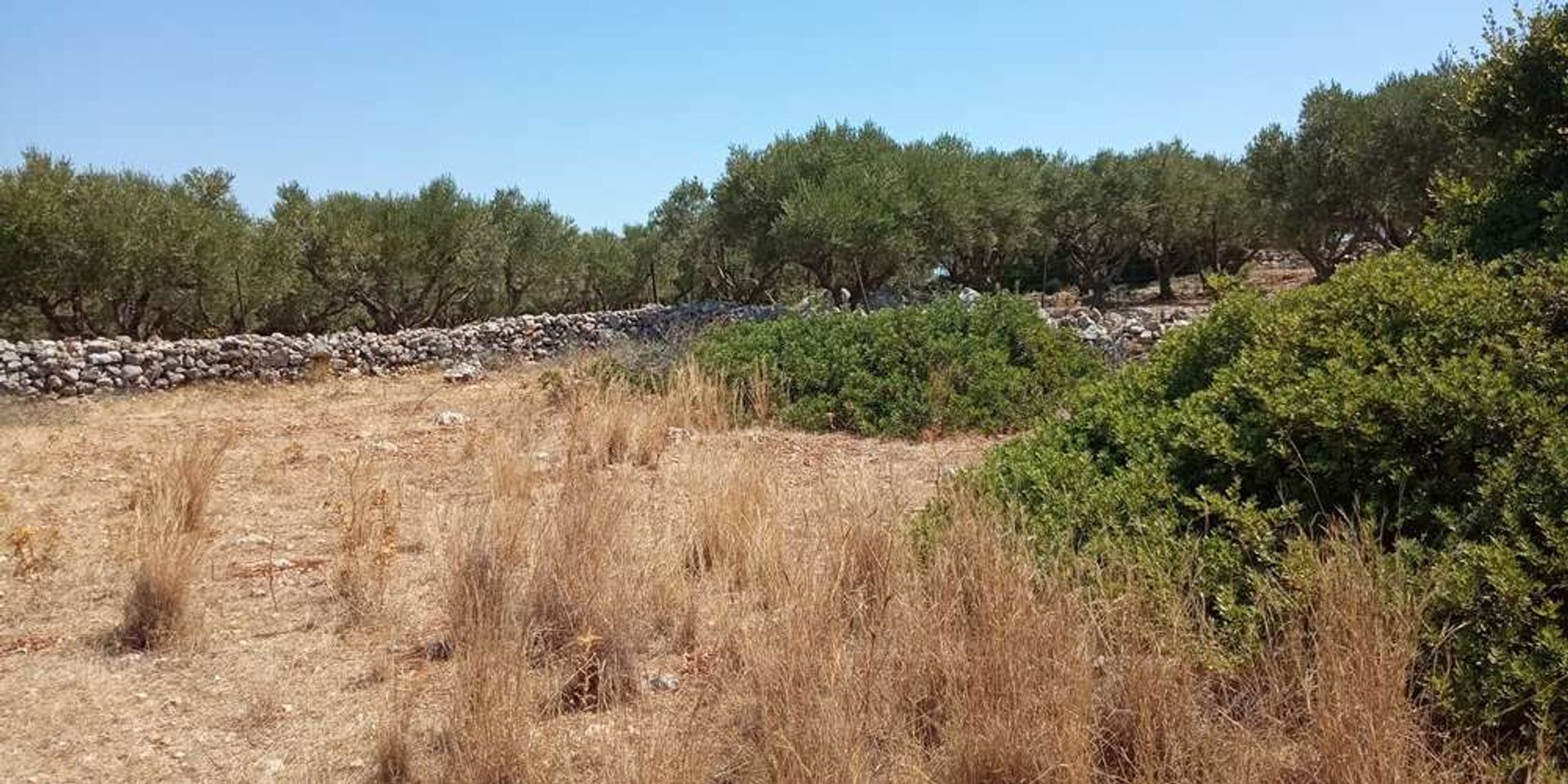 Land i Zakynthos, Zakinthos 10086701