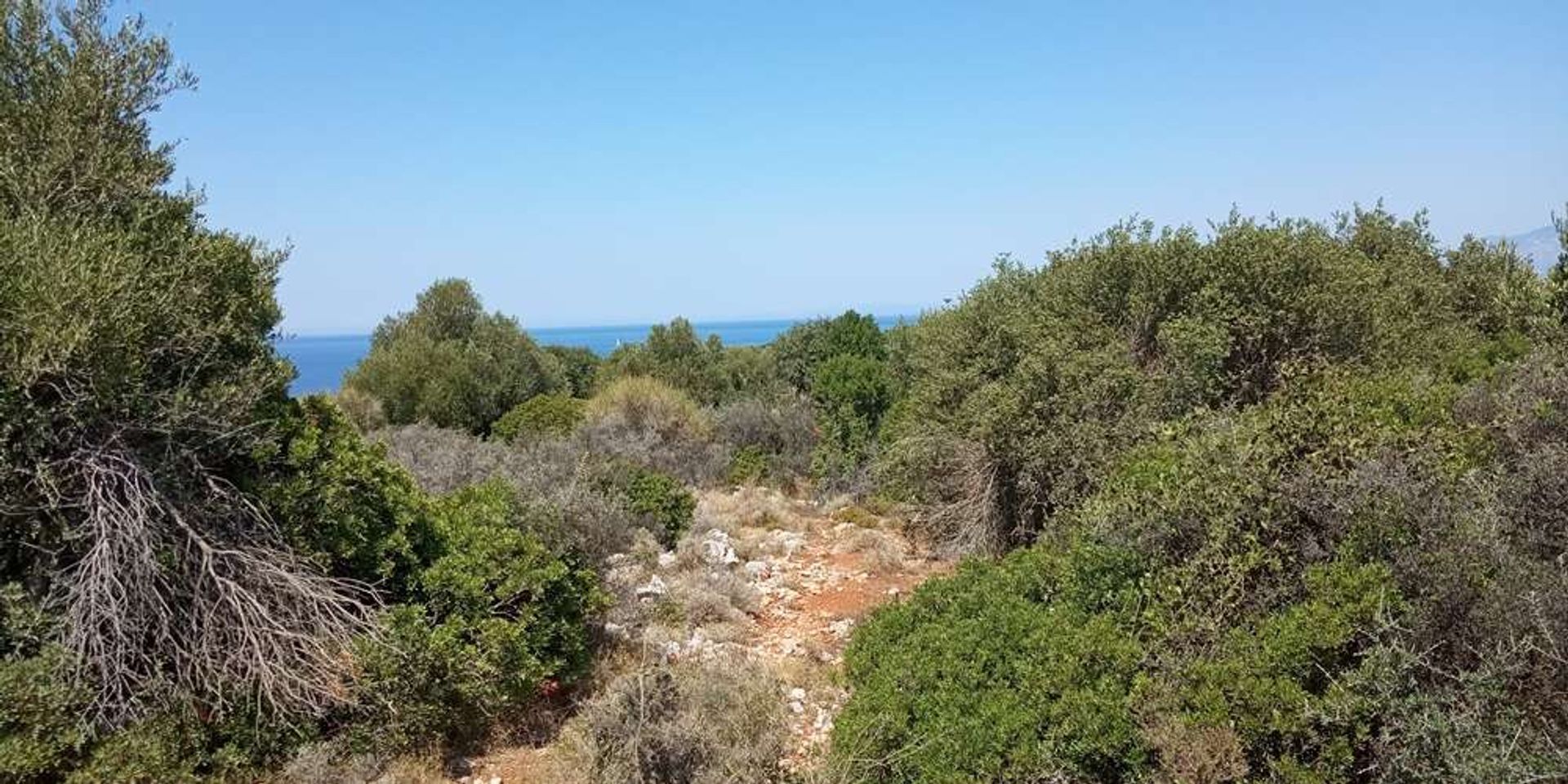 Land i Zakynthos, Zakinthos 10086701