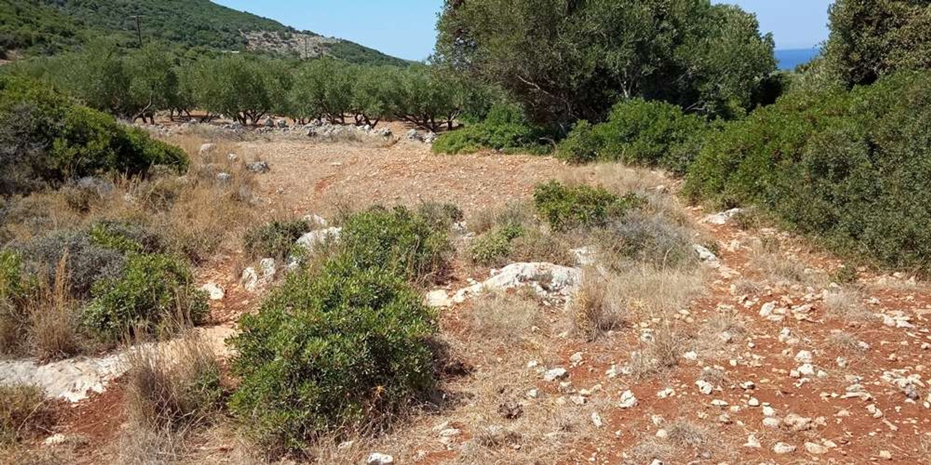 Land i Zakynthos, Zakinthos 10086701