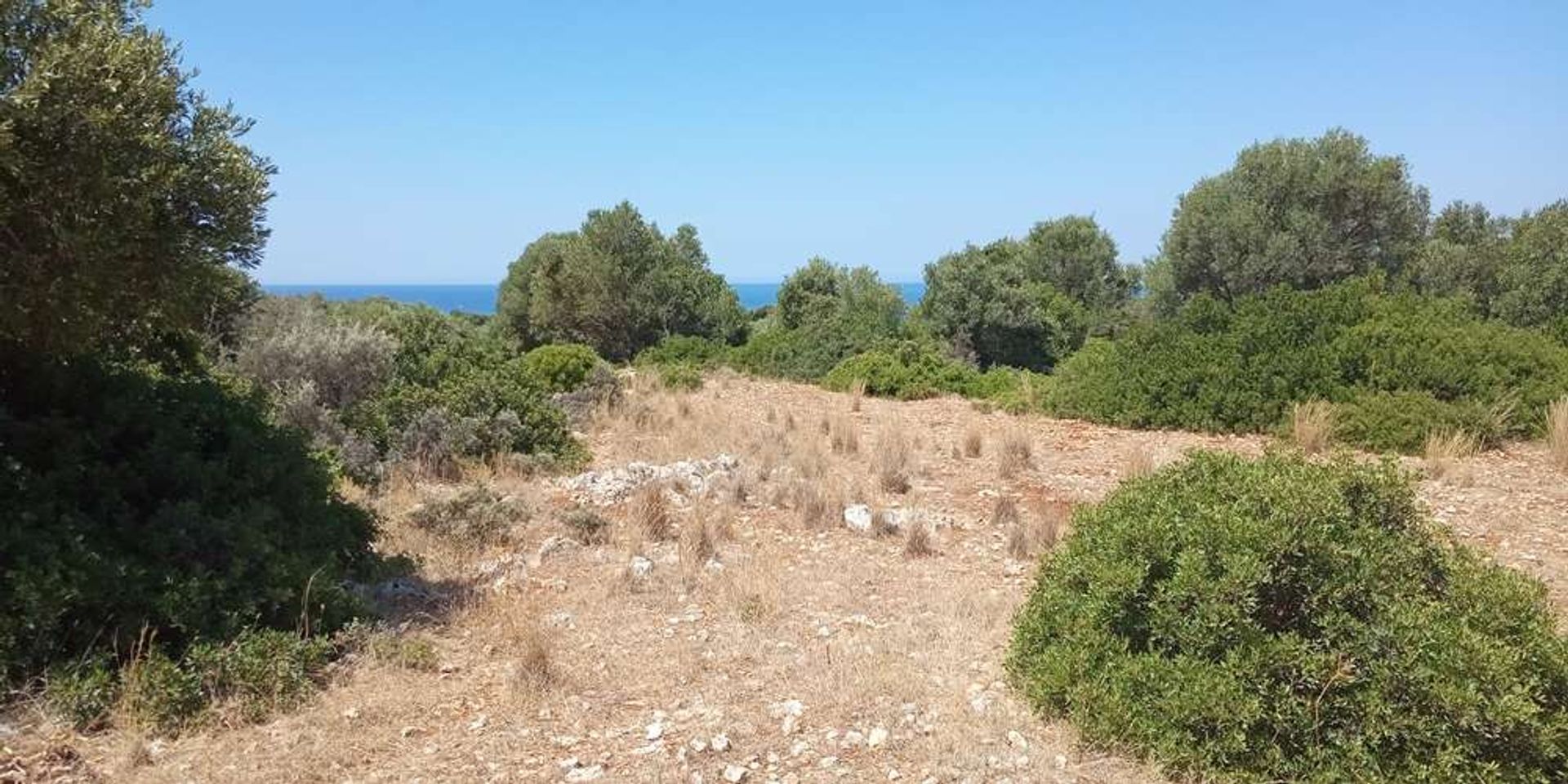 Land in Bochali, Ionia Nisia 10086701