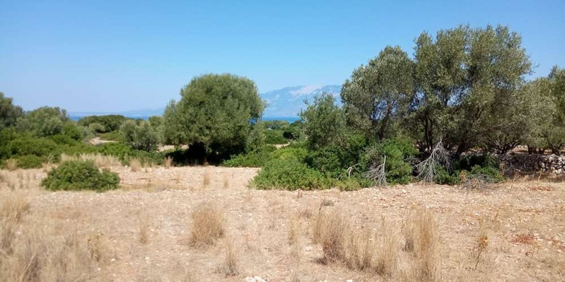 Land i Zakynthos, Zakinthos 10086701