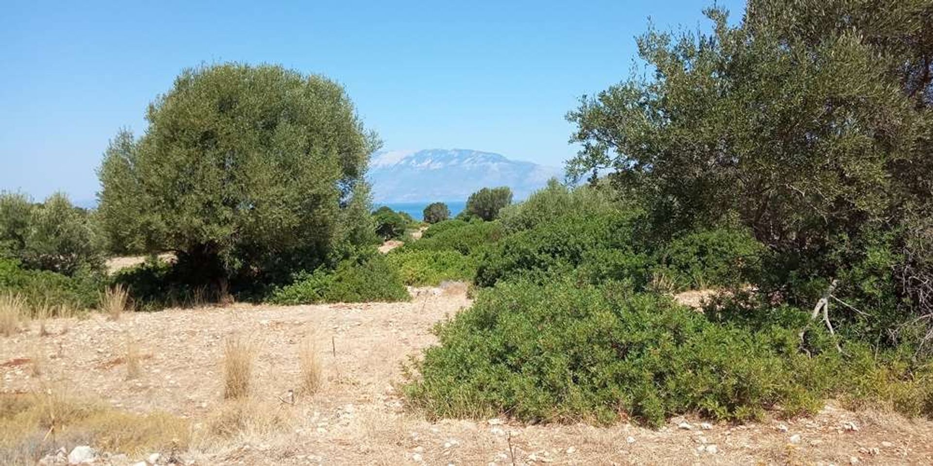 Land i Zakynthos, Zakinthos 10086701