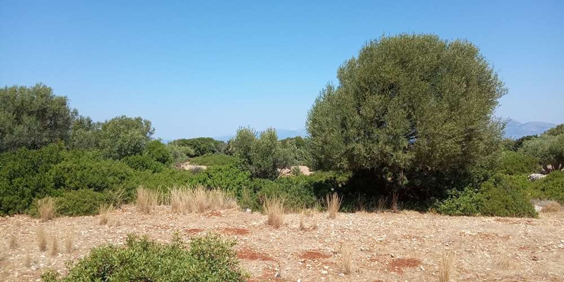 Land i Zakynthos, Zakinthos 10086701