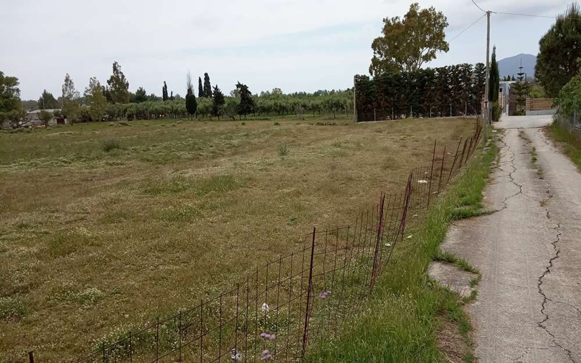 Land i Bochali, Ionia Nisia 10086702