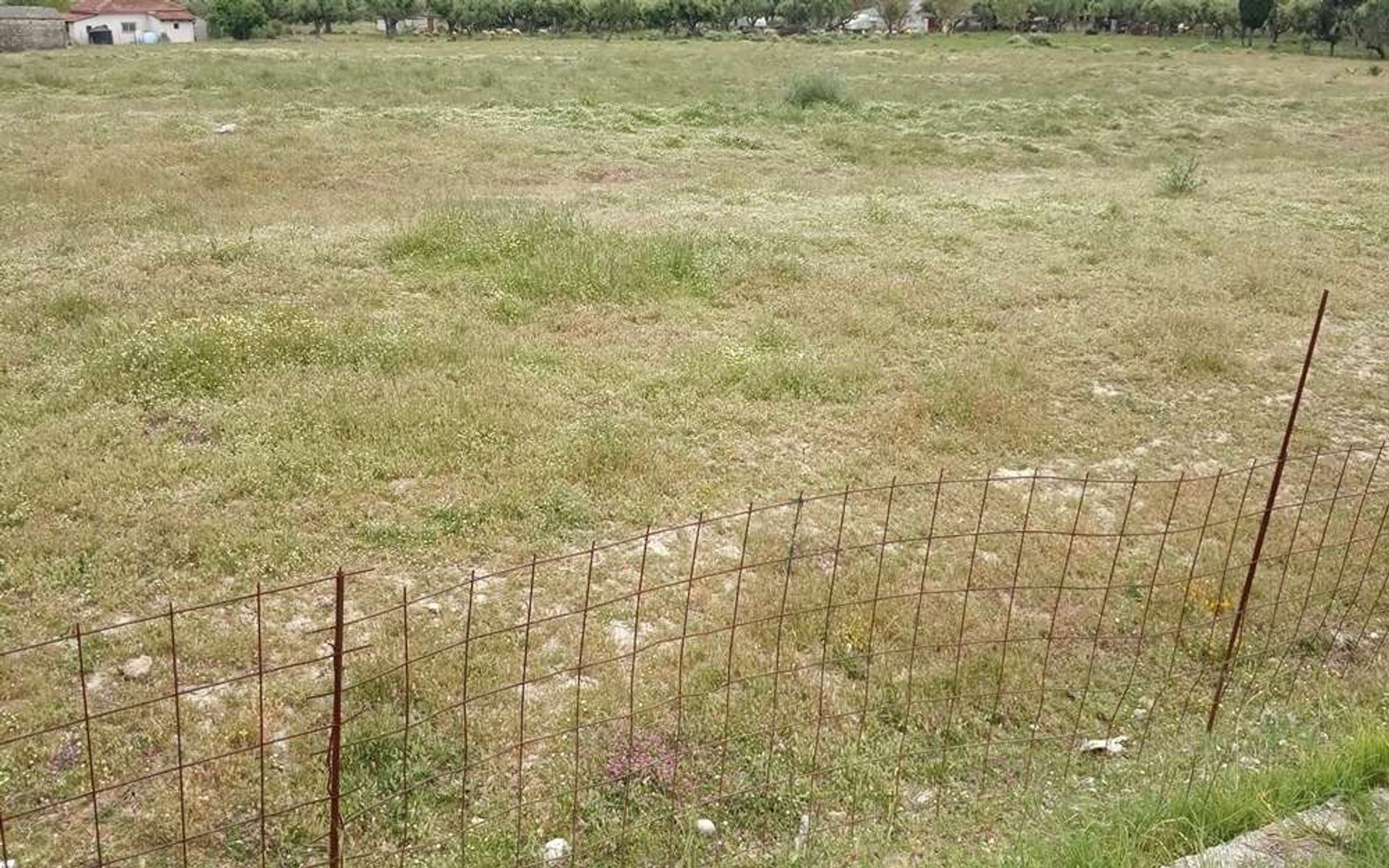 Land i Zakynthos, Zakinthos 10086702