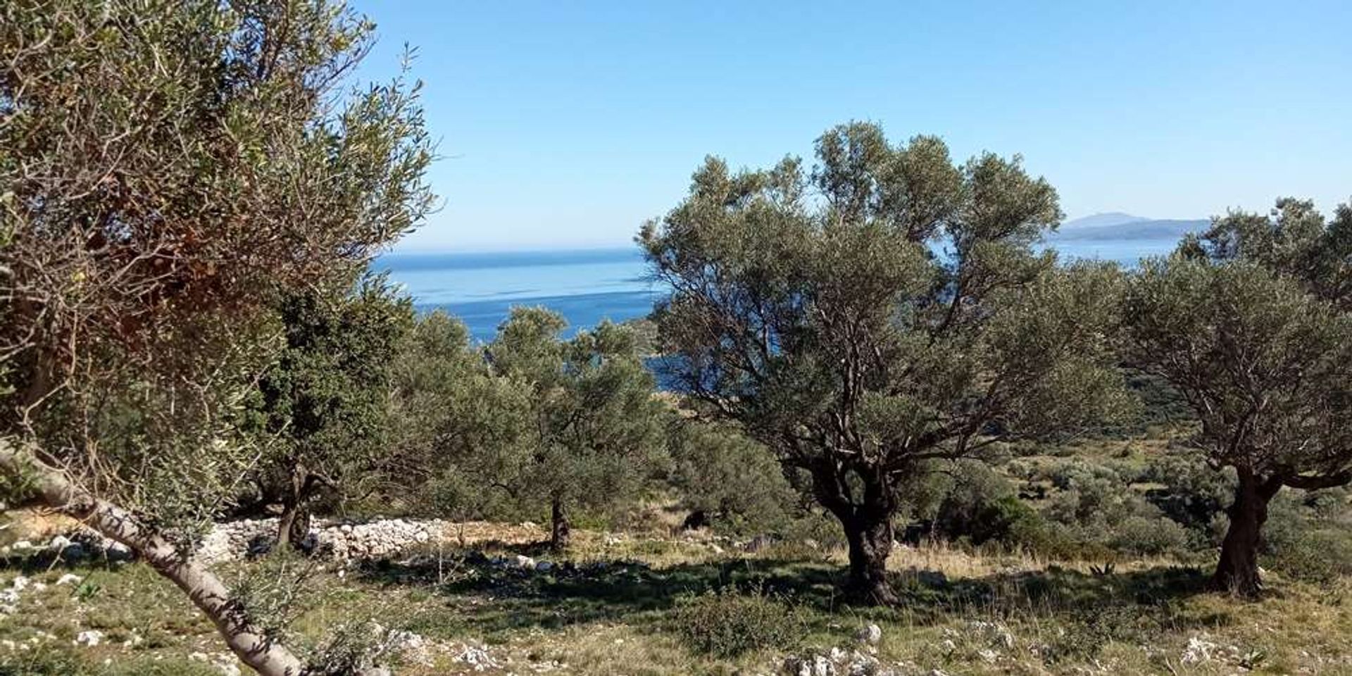 Tierra en Zakynthos, Zakinthos 10086707