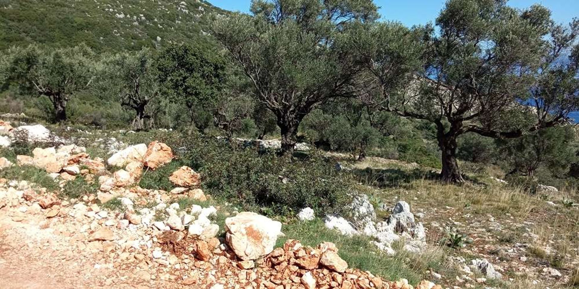 Tierra en Zakynthos, Zakinthos 10086707