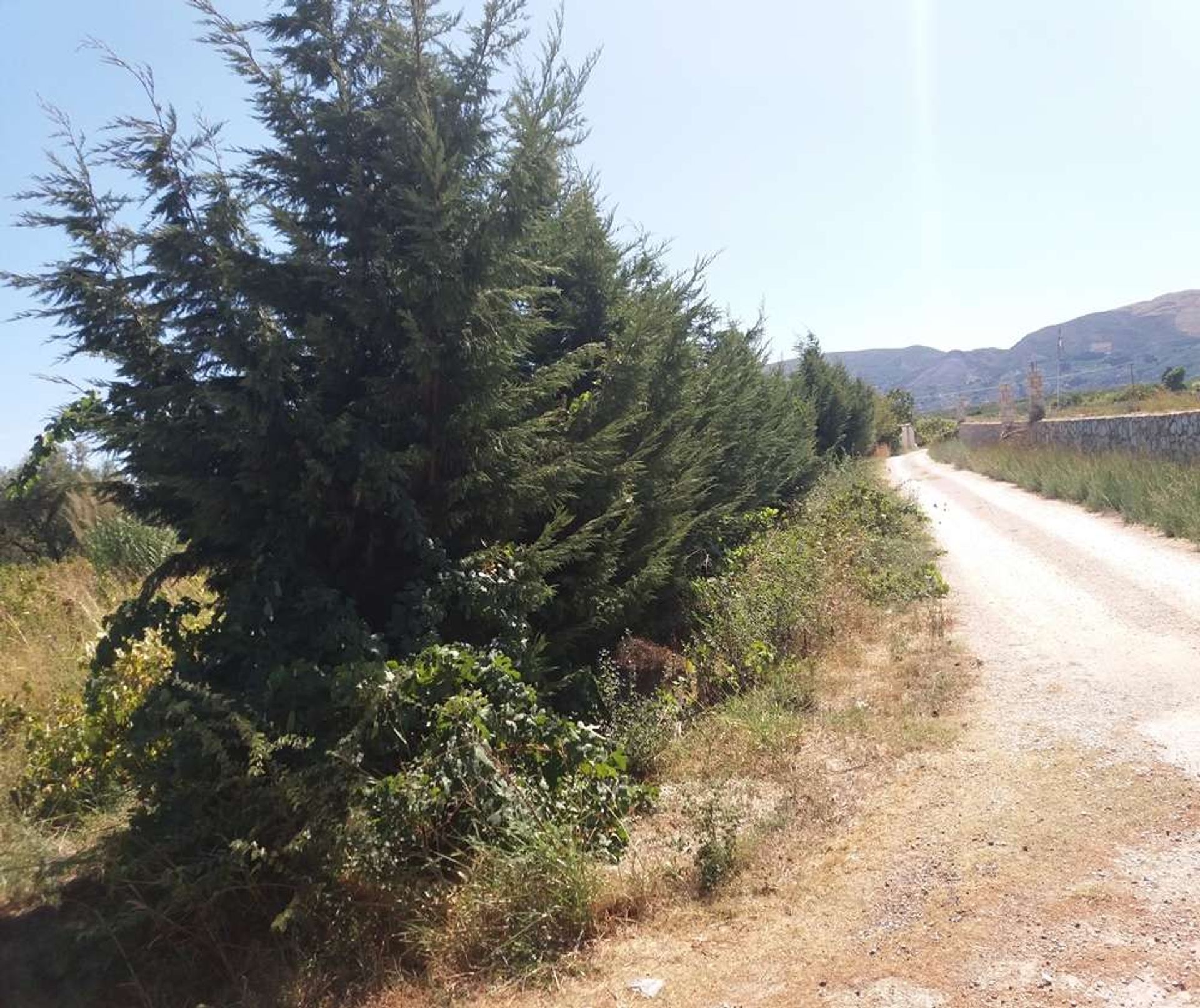 Land im Zakynthos, Zakinthos 10086708