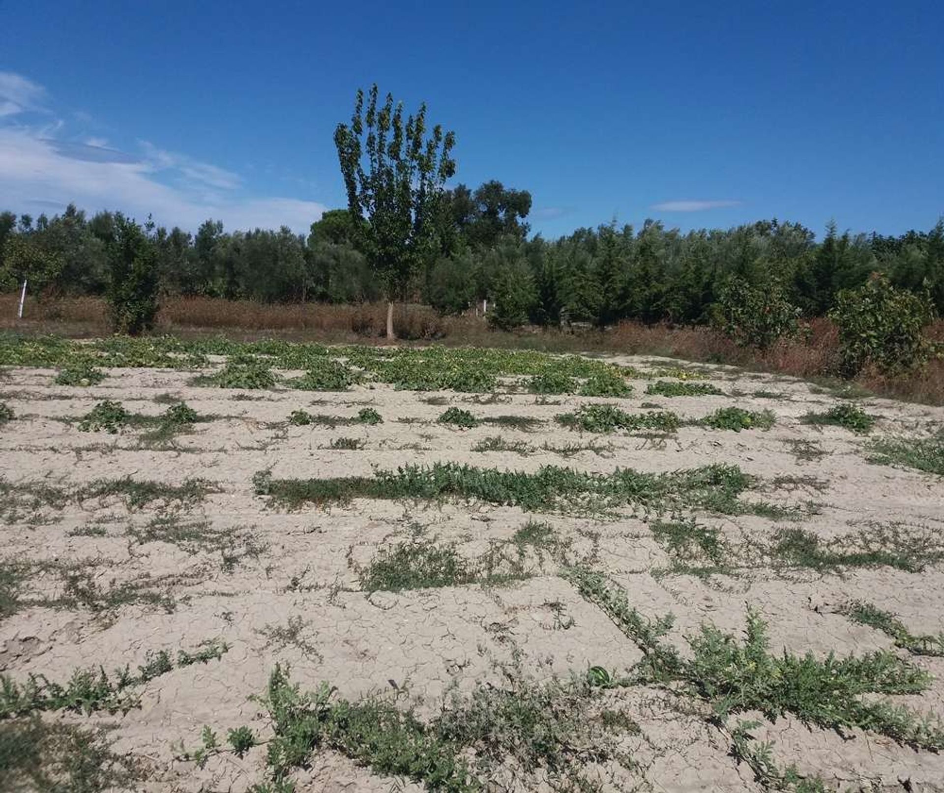 Tierra en Zakynthos, Zakinthos 10086708