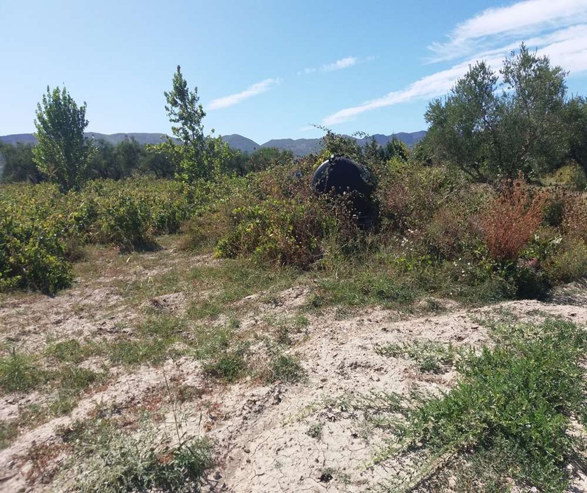 Земля в Zakynthos, Zakinthos 10086708