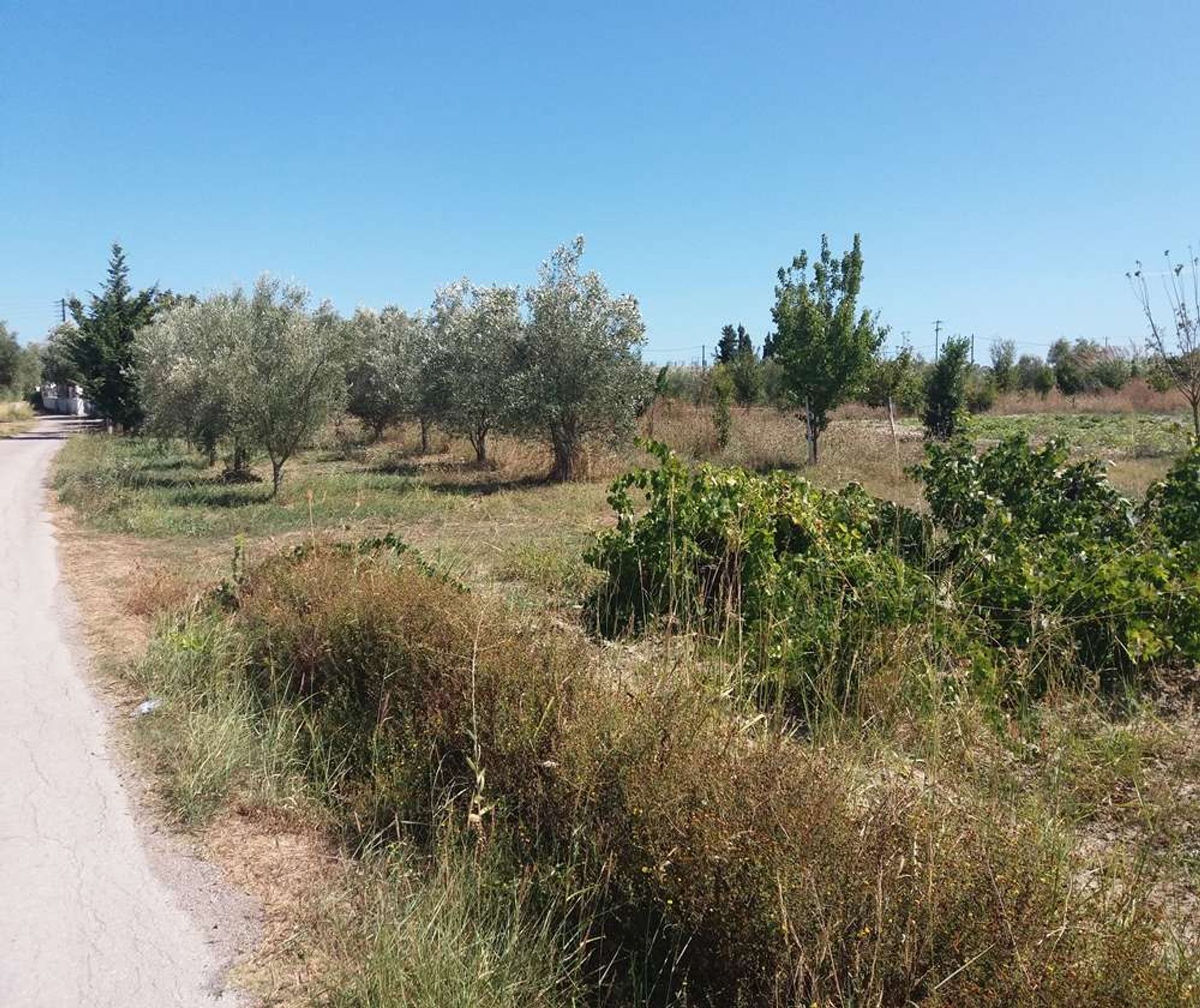 Tanah di Zakynthos, Zakinthos 10086708