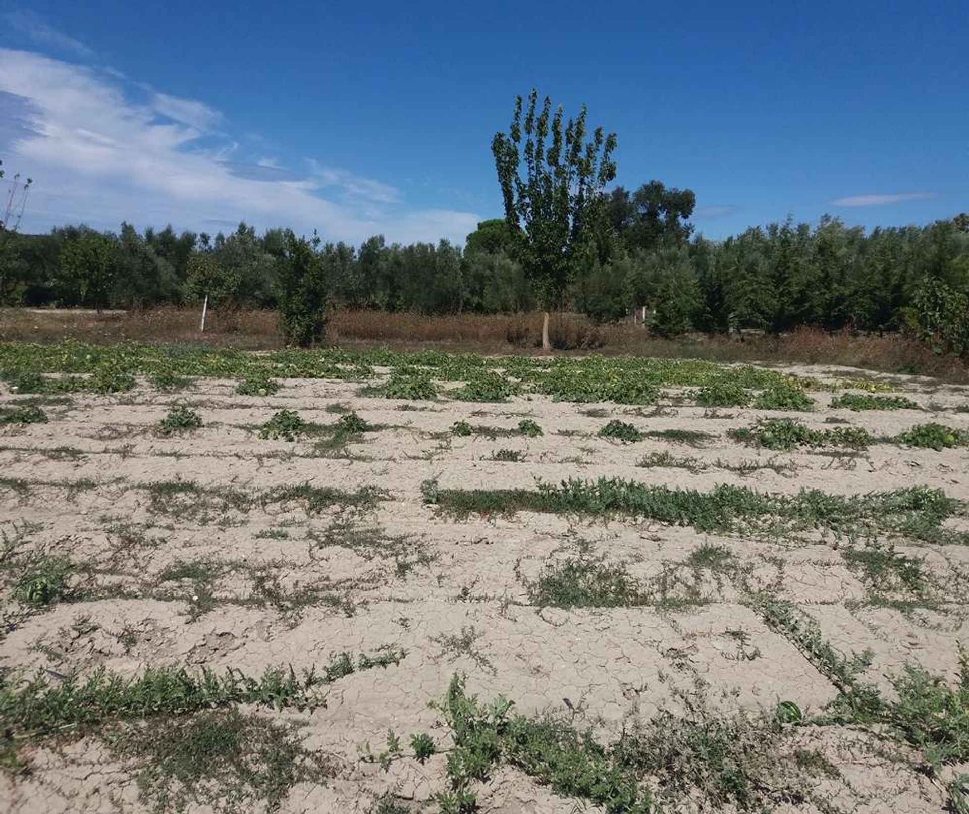 Tierra en Zakynthos, Zakinthos 10086708