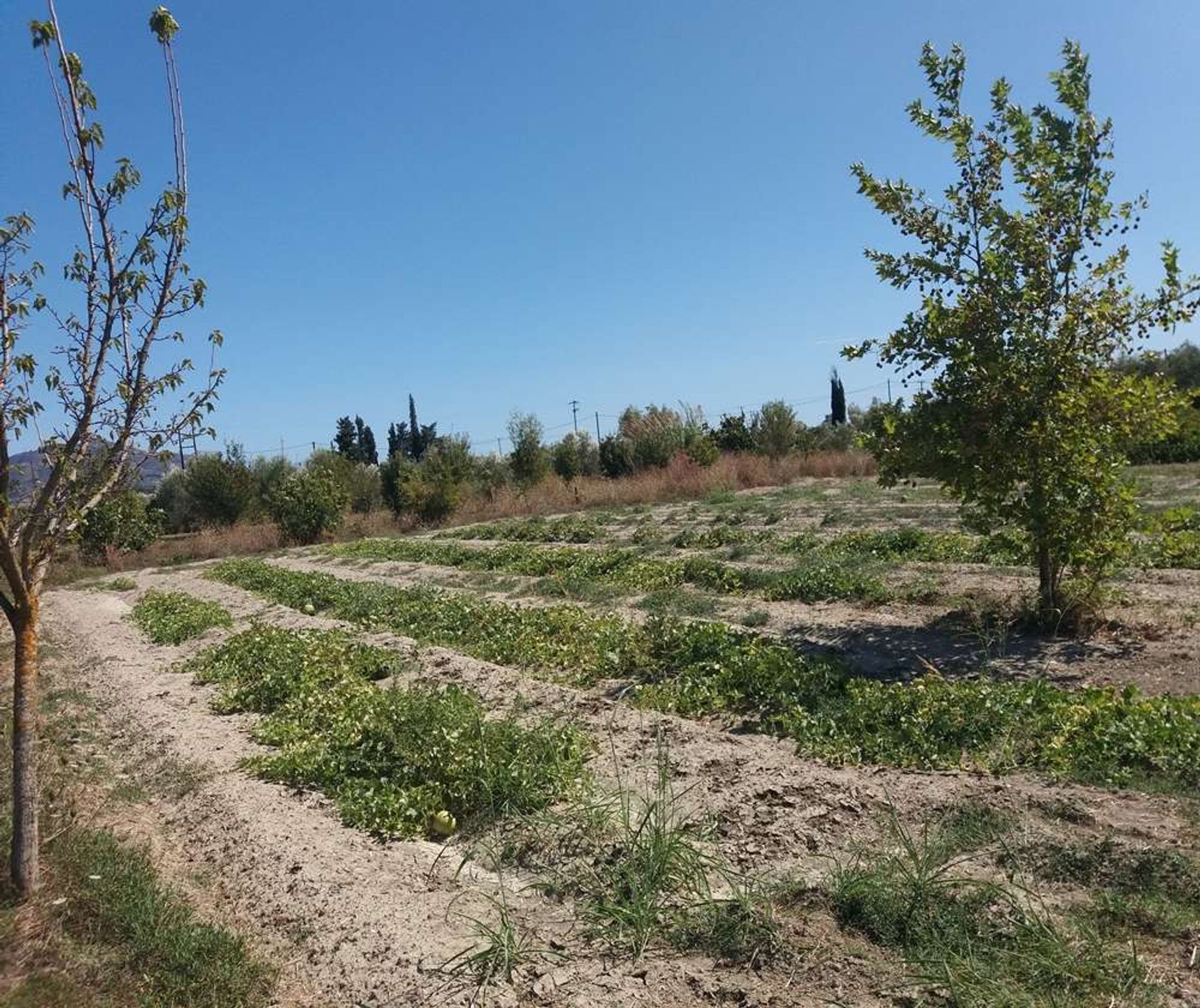 Земля в Zakynthos, Zakinthos 10086708