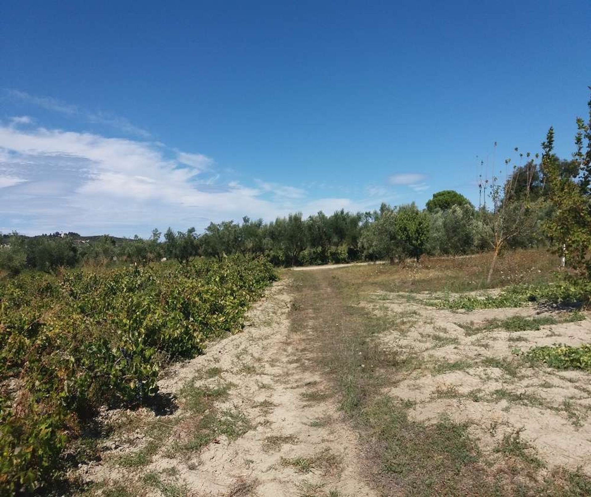 Tierra en Zakynthos, Zakinthos 10086708