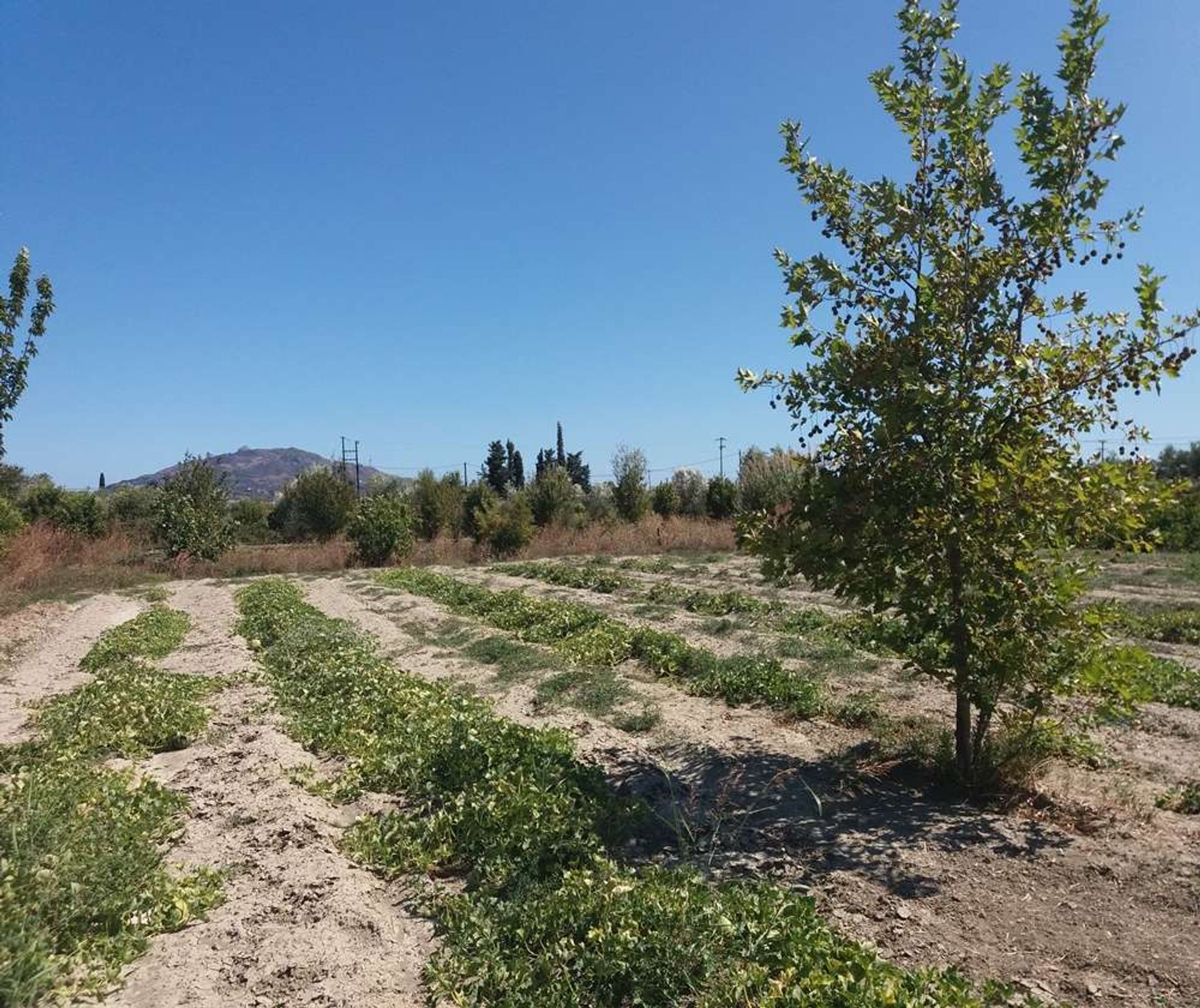 Tierra en Zakynthos, Zakinthos 10086708