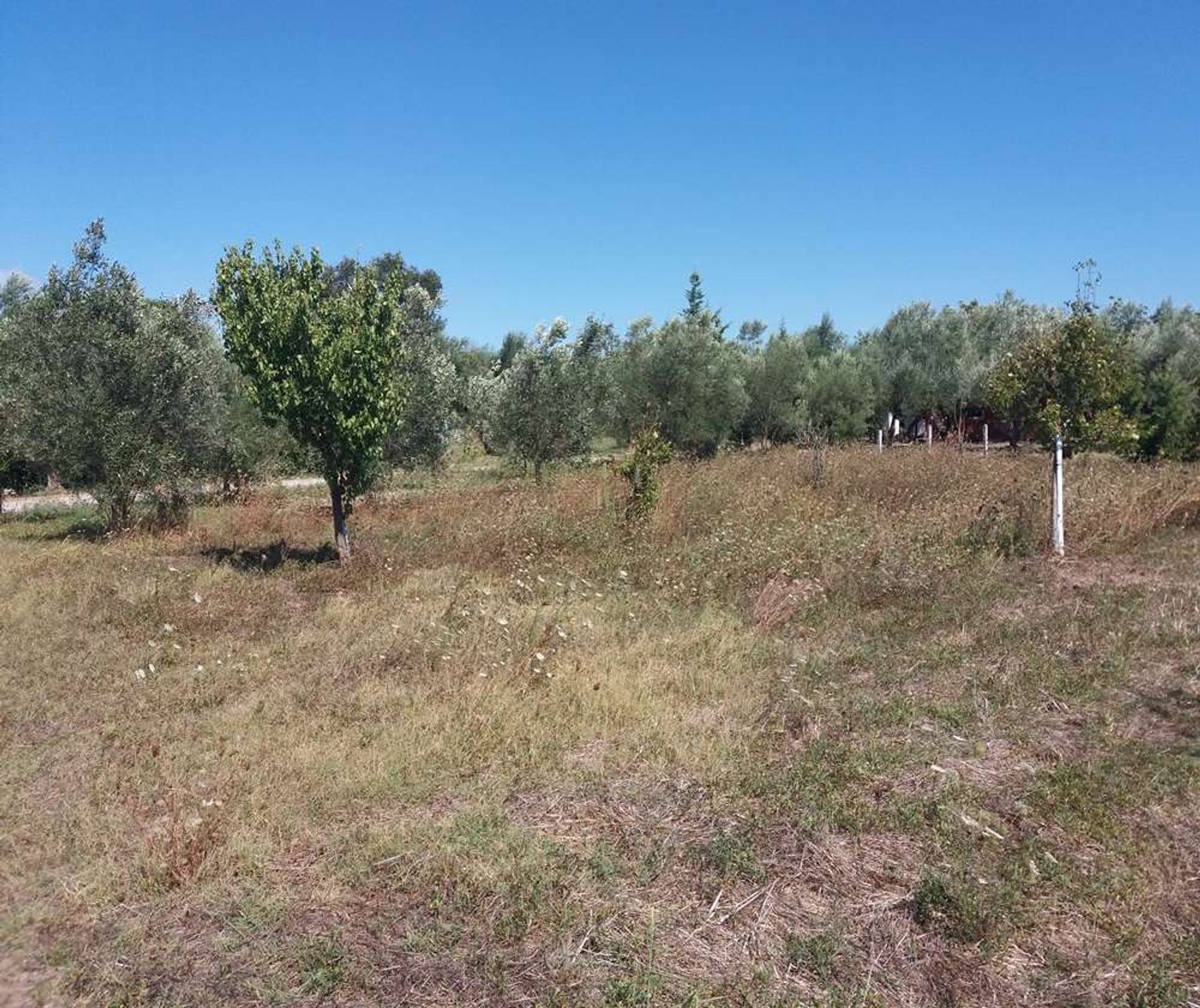 Земля в Zakynthos, Zakinthos 10086708