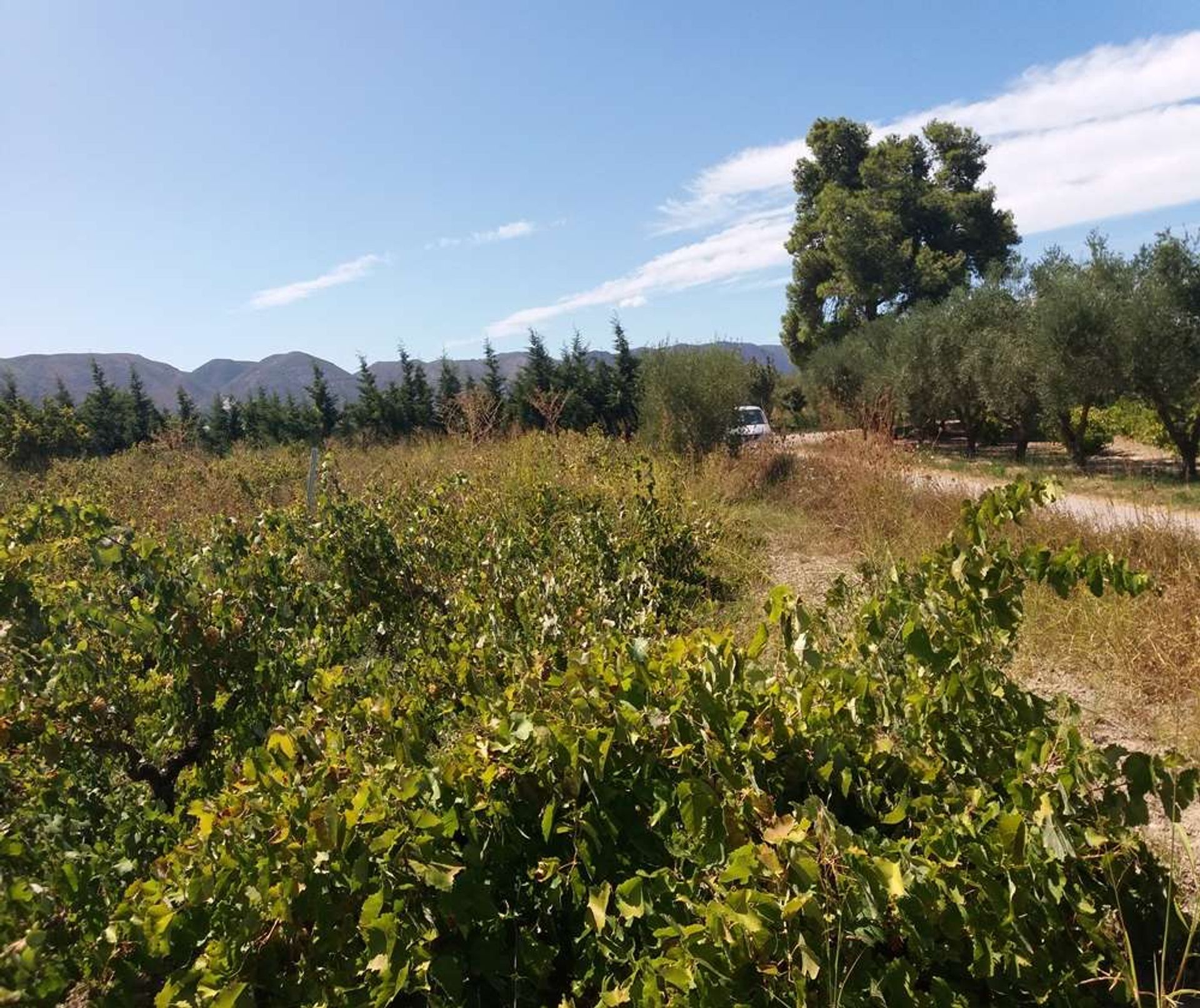 Tierra en Zakynthos, Zakinthos 10086708