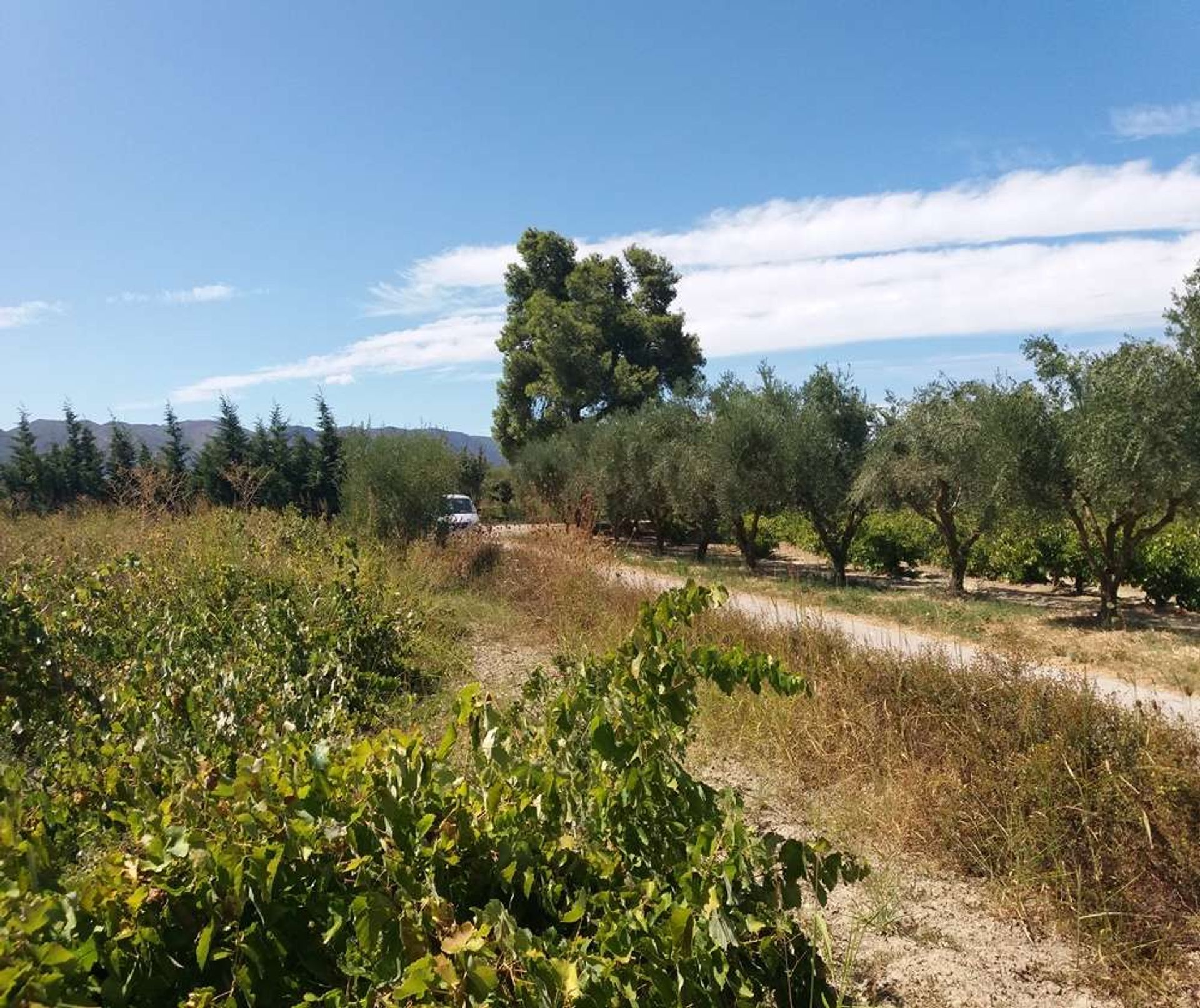 Земля в Zakynthos, Zakinthos 10086708