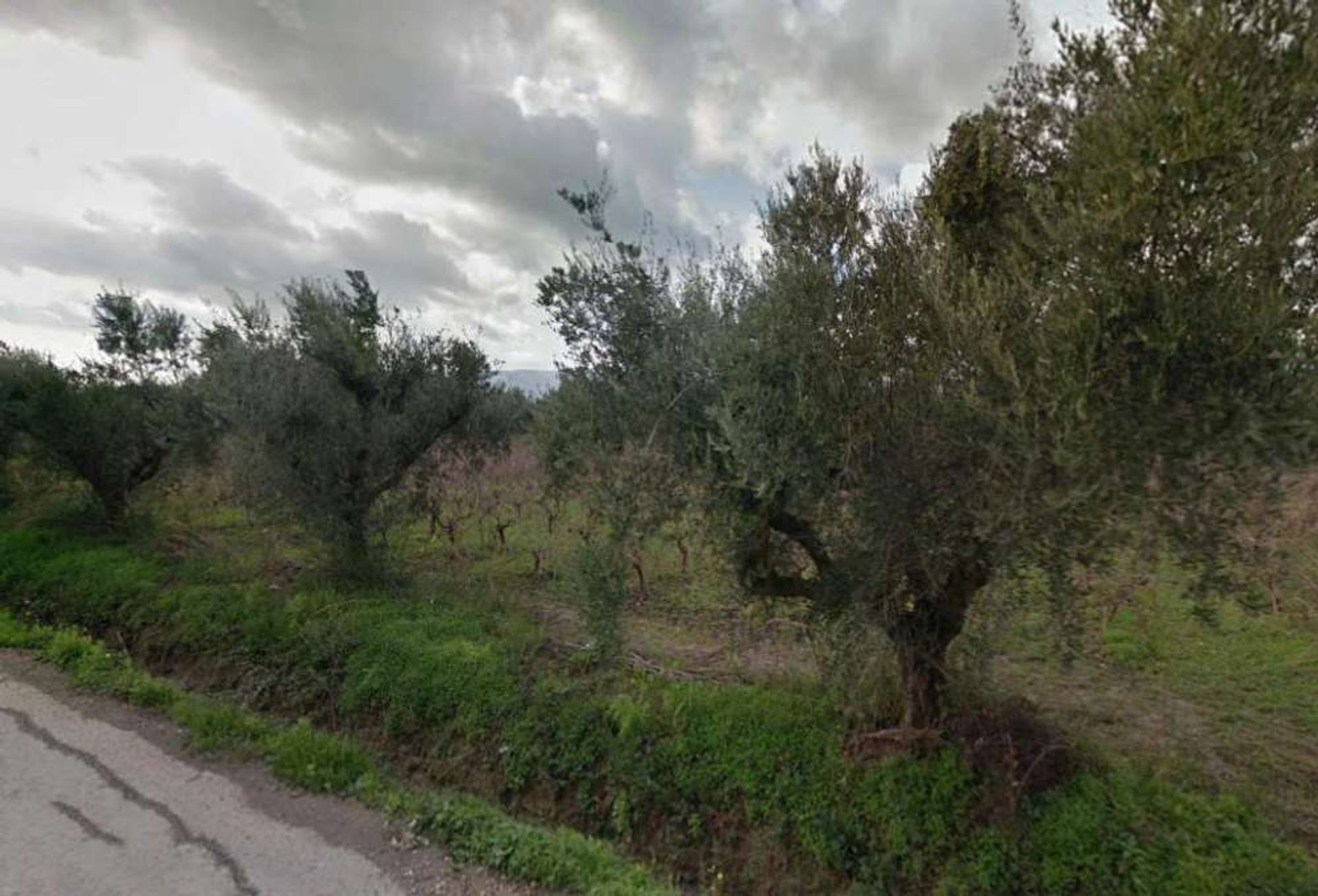 Tierra en Zakynthos, Zakinthos 10086709