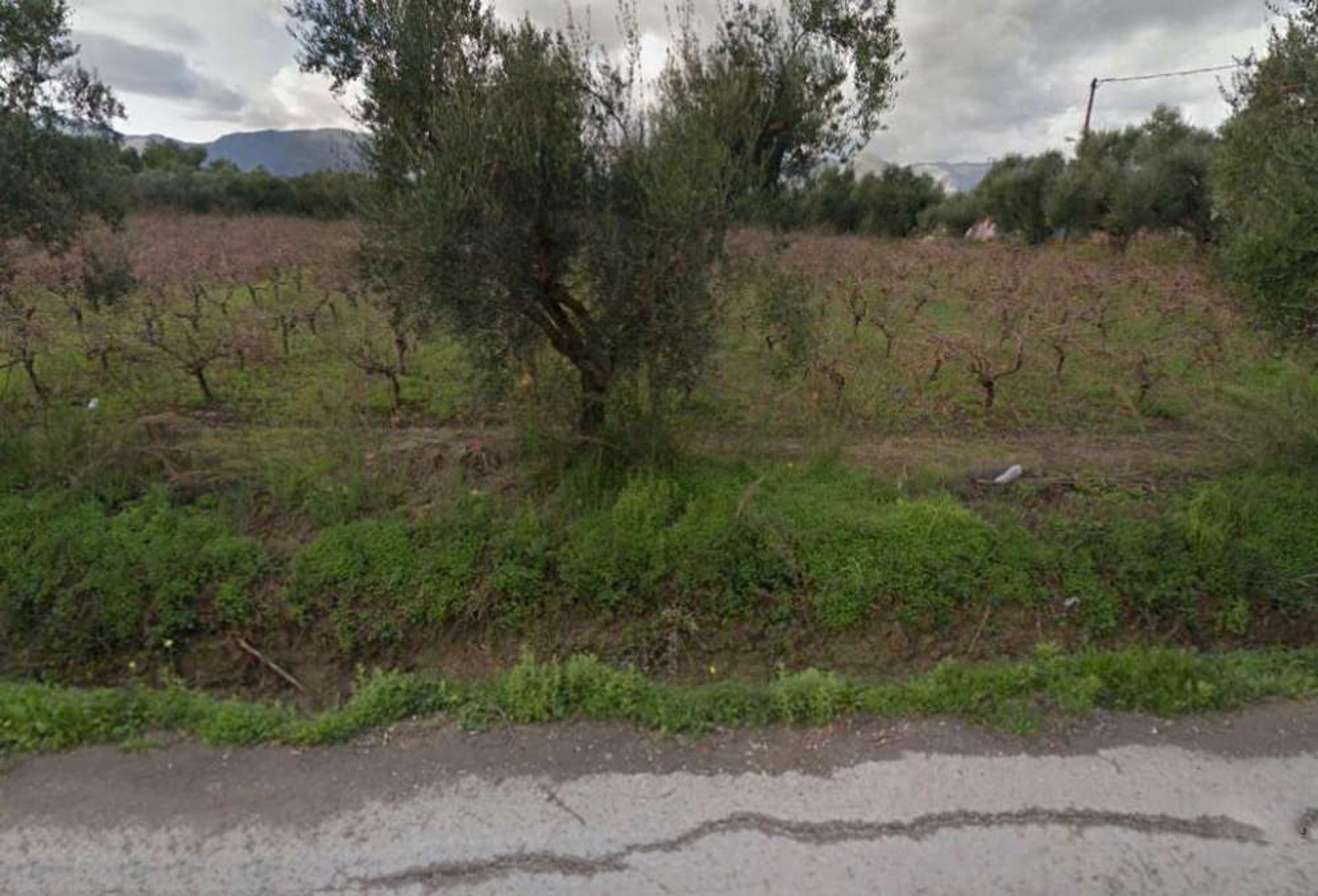 土地 在 Zakynthos, Zakinthos 10086709