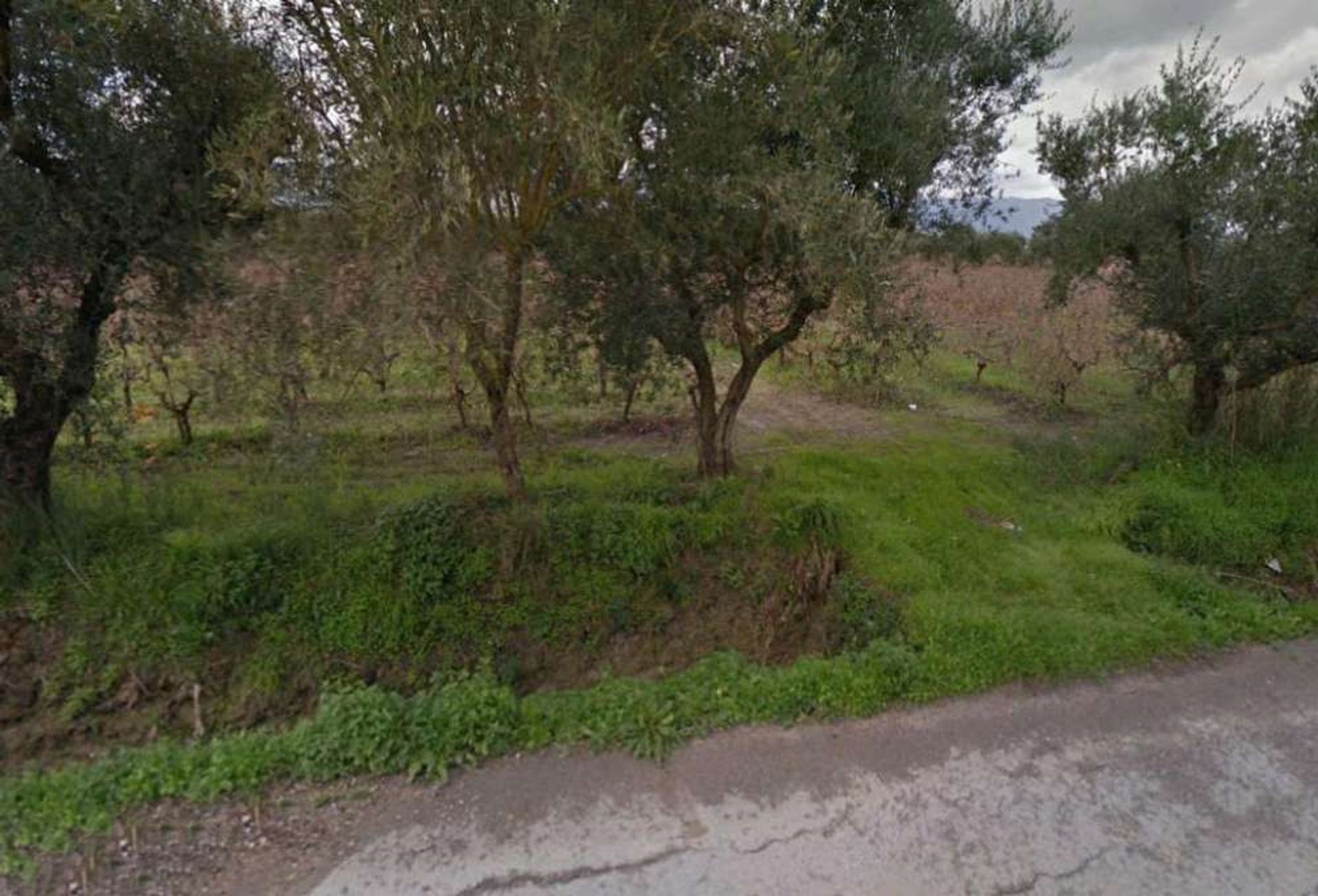 Land im Zakynthos, Zakinthos 10086709