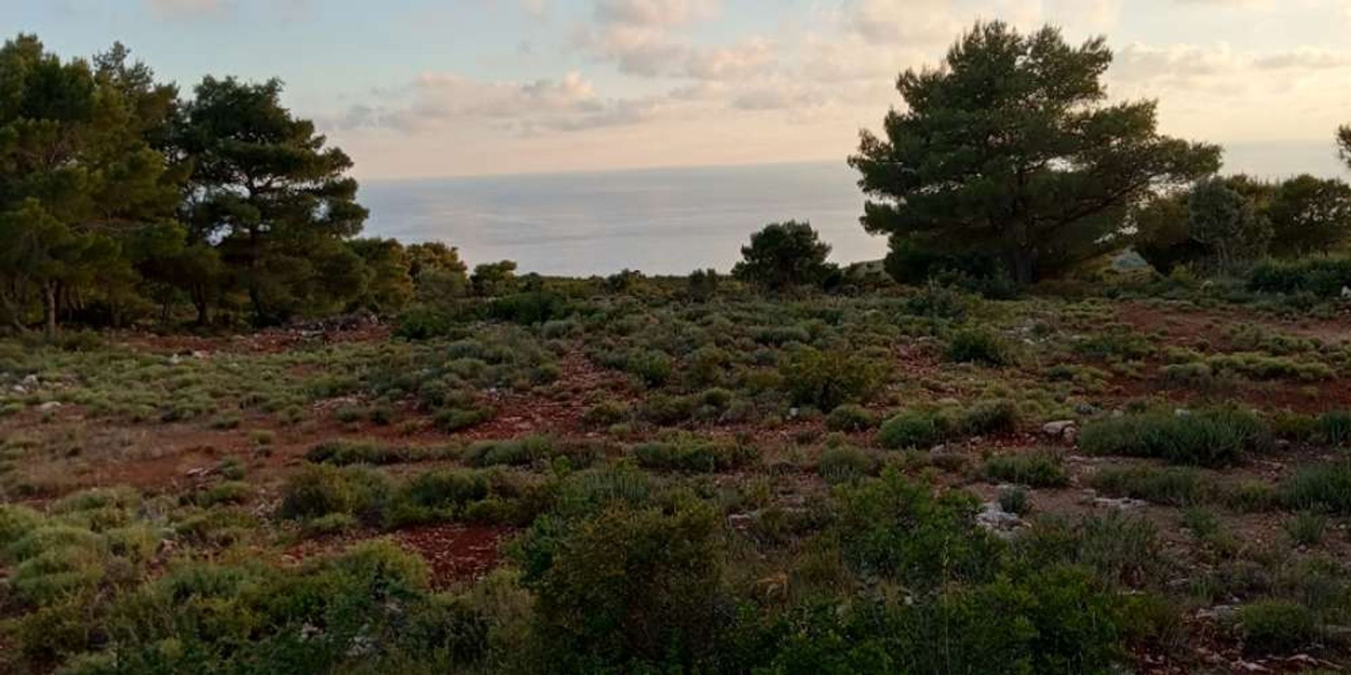 Tanah dalam Zakynthos, Zakinthos 10086710