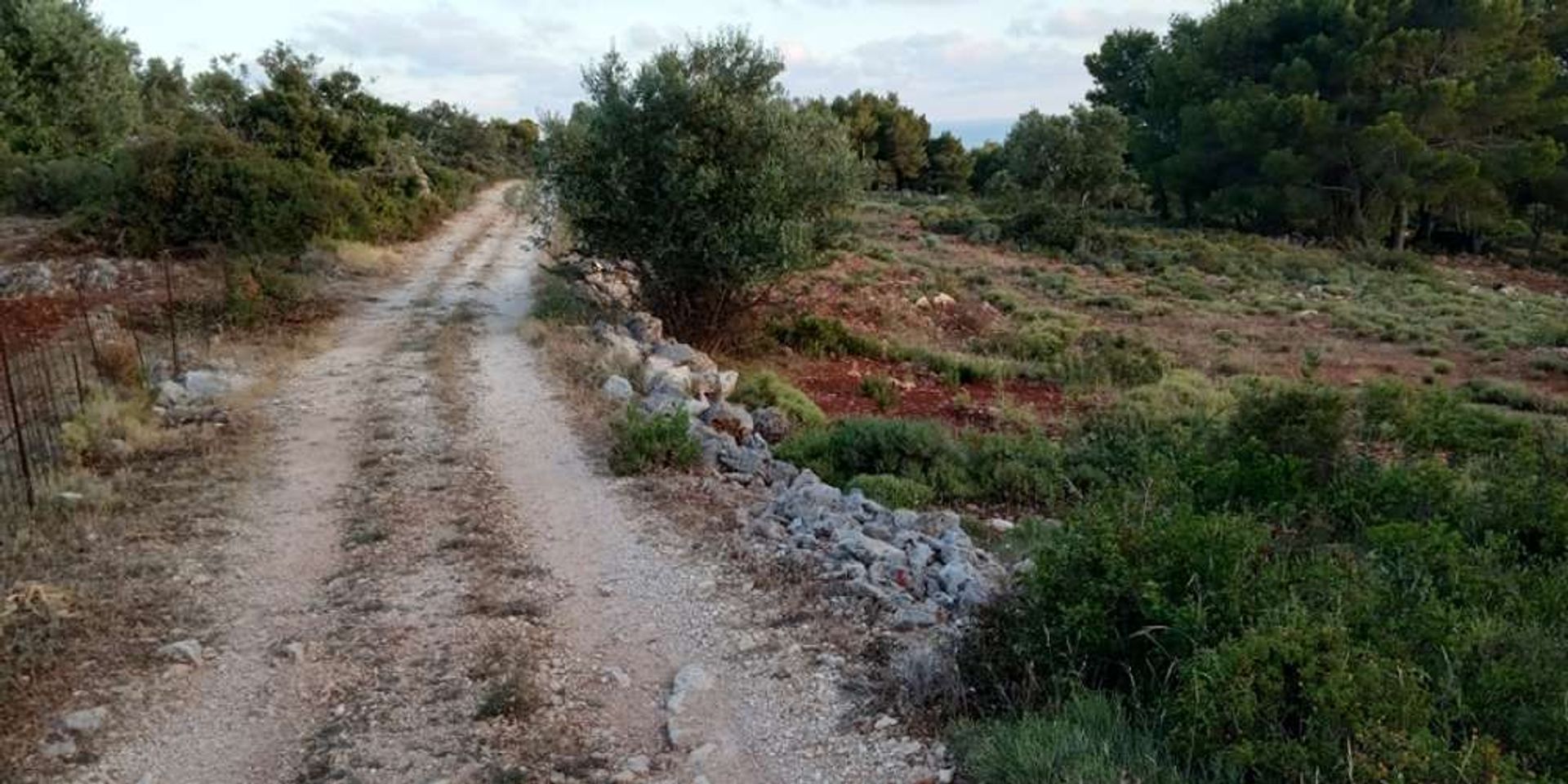 Tanah dalam Zakynthos, Zakinthos 10086710