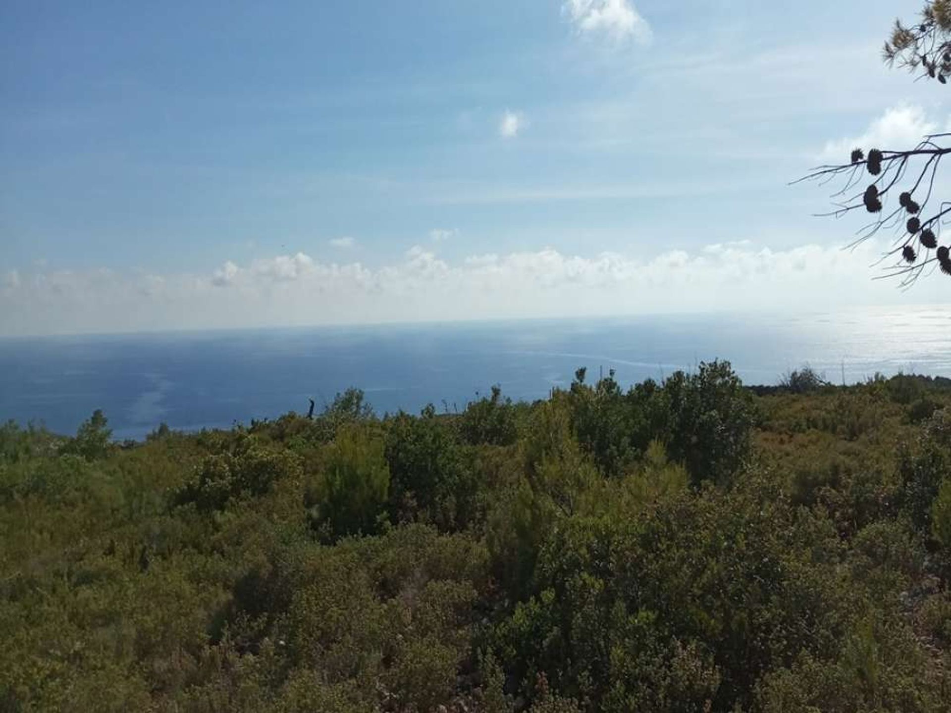 Tanah dalam Zakynthos, Zakinthos 10086710