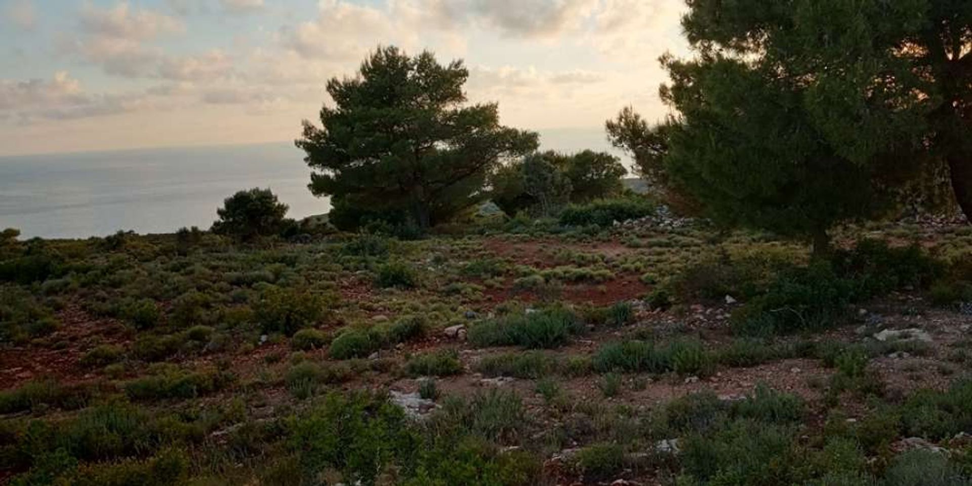 Tanah dalam Zakynthos, Zakinthos 10086710