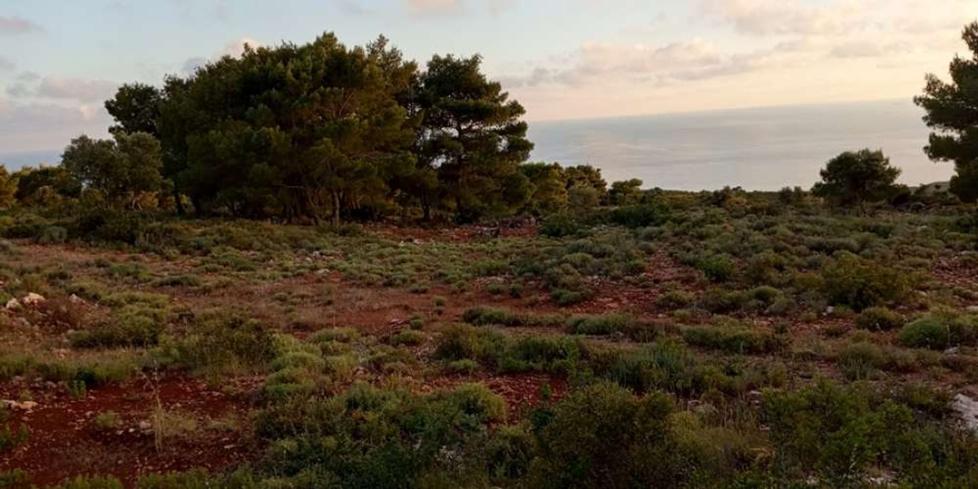 Tanah dalam Zakynthos, Zakinthos 10086710