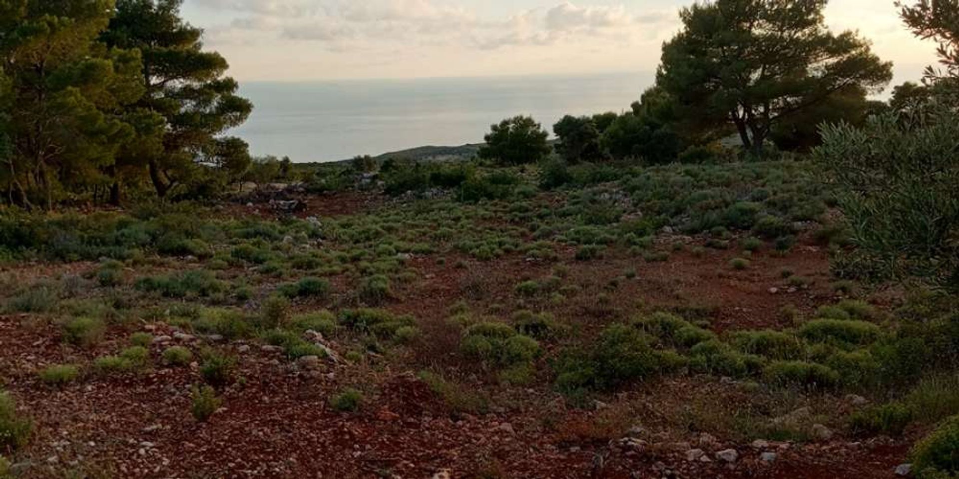 Tanah dalam Zakynthos, Zakinthos 10086710