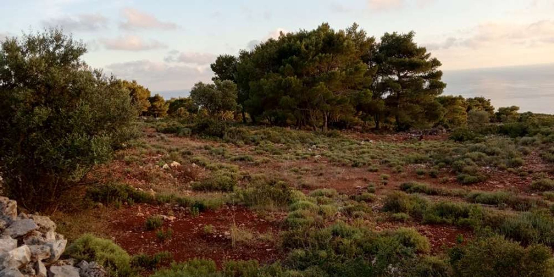 Tierra en bochalí, Jonia Nisia 10086710