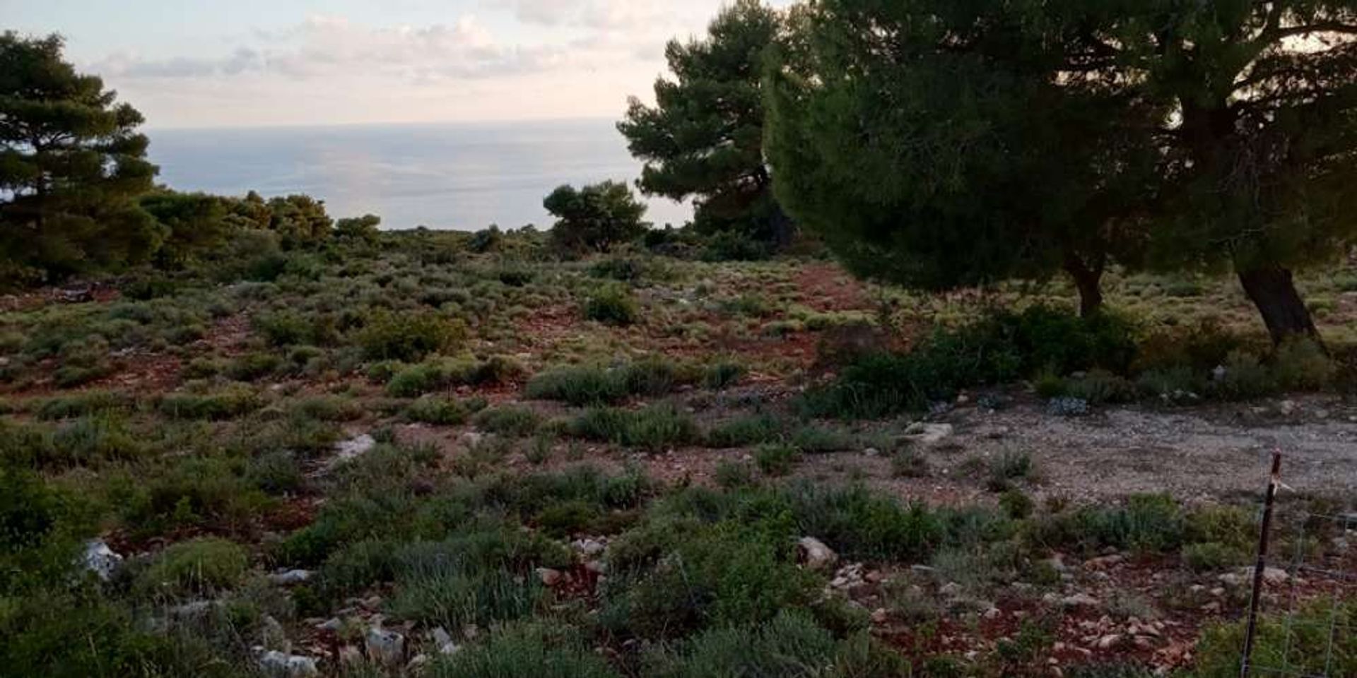 Tanah dalam Zakynthos, Zakinthos 10086710