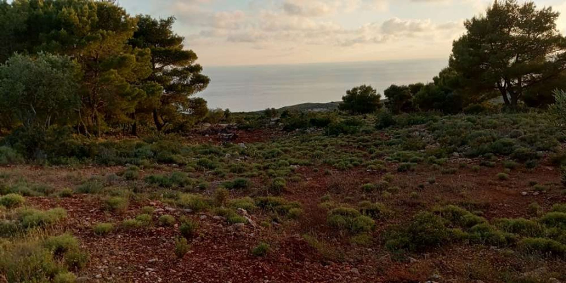 Tanah dalam Zakynthos, Zakinthos 10086710