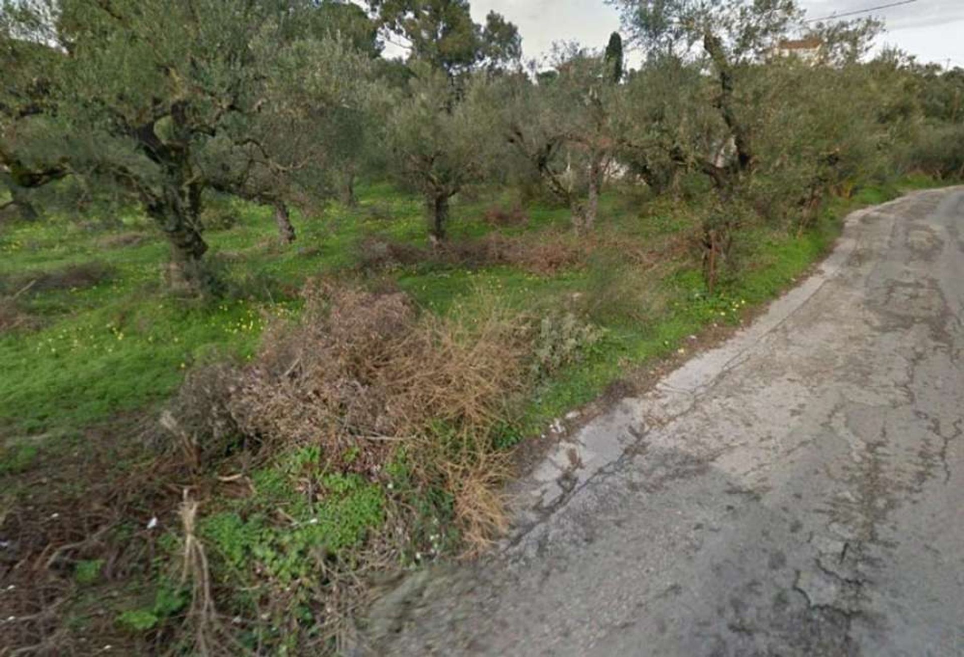 Tierra en Zakynthos, Zakinthos 10086711