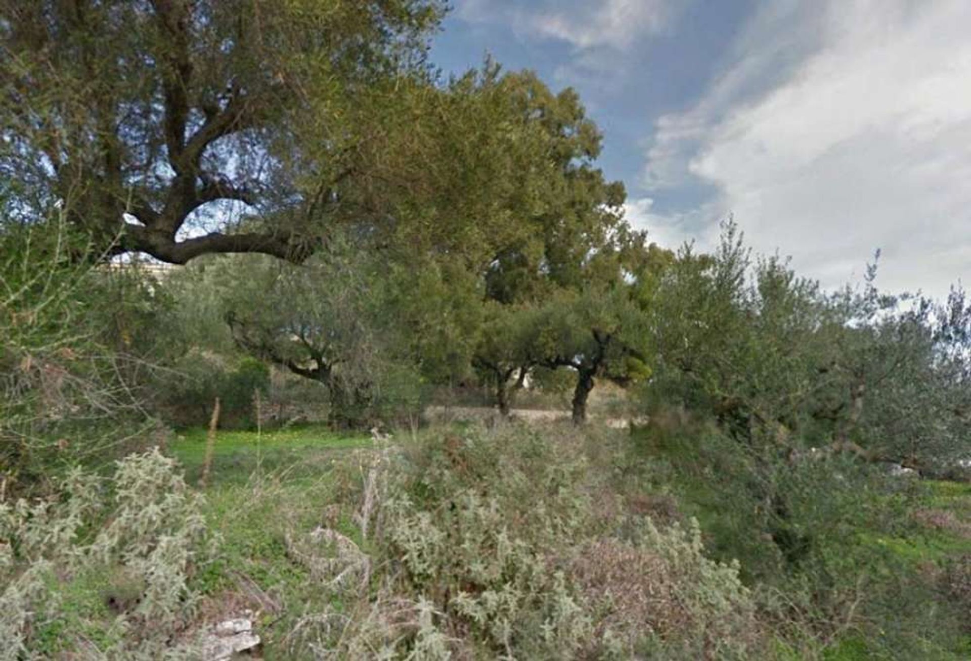 Tierra en Zakynthos, Zakinthos 10086711