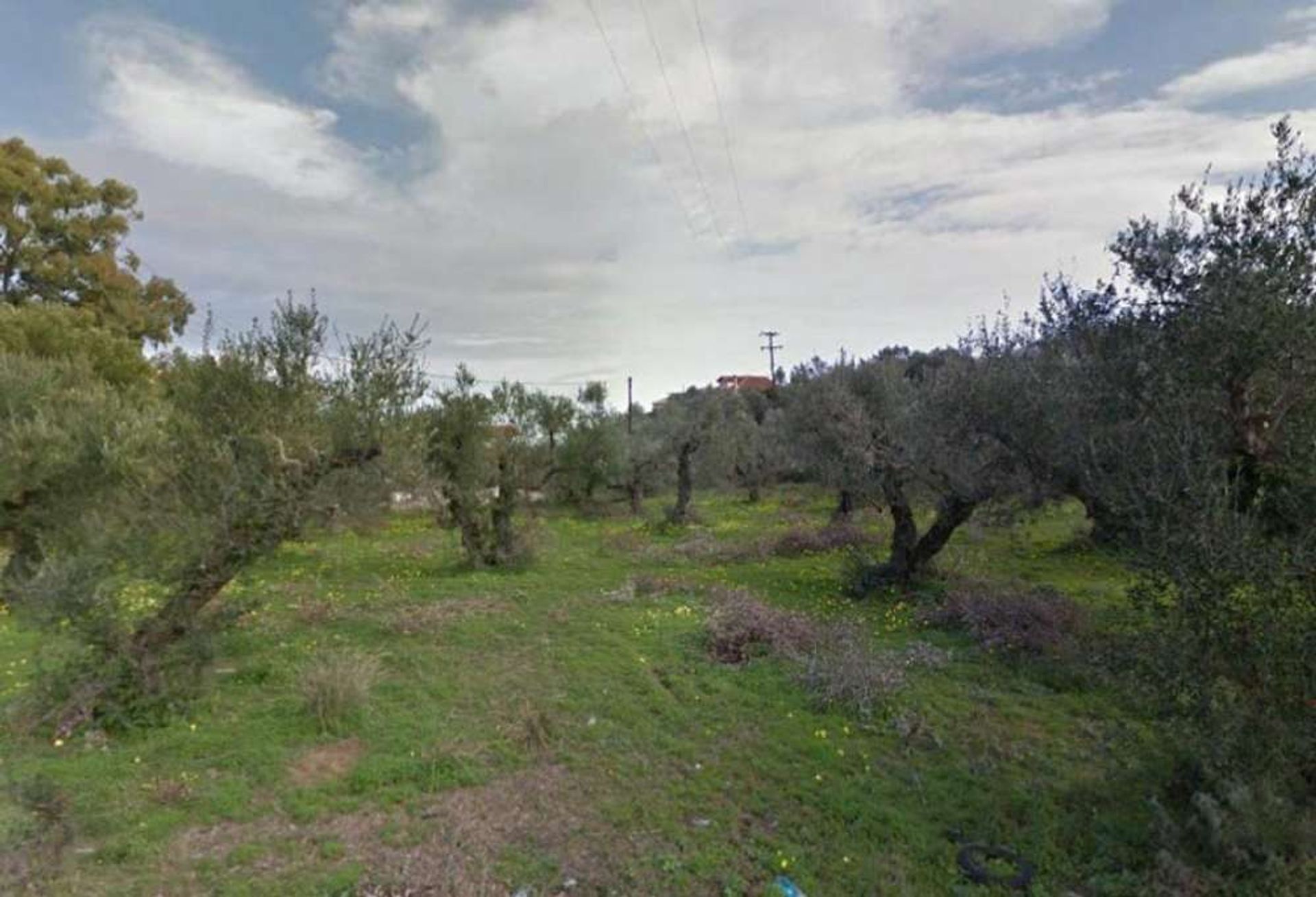 Tierra en Zakynthos, Zakinthos 10086711