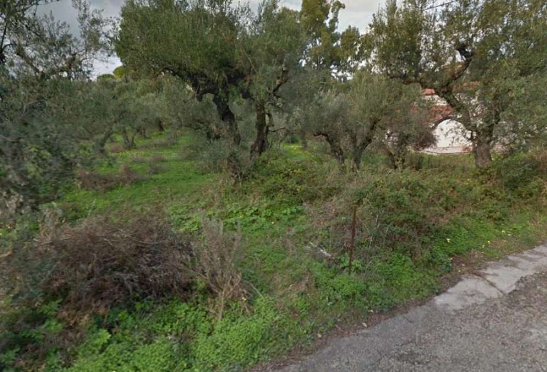 Tierra en Zakynthos, Zakinthos 10086711