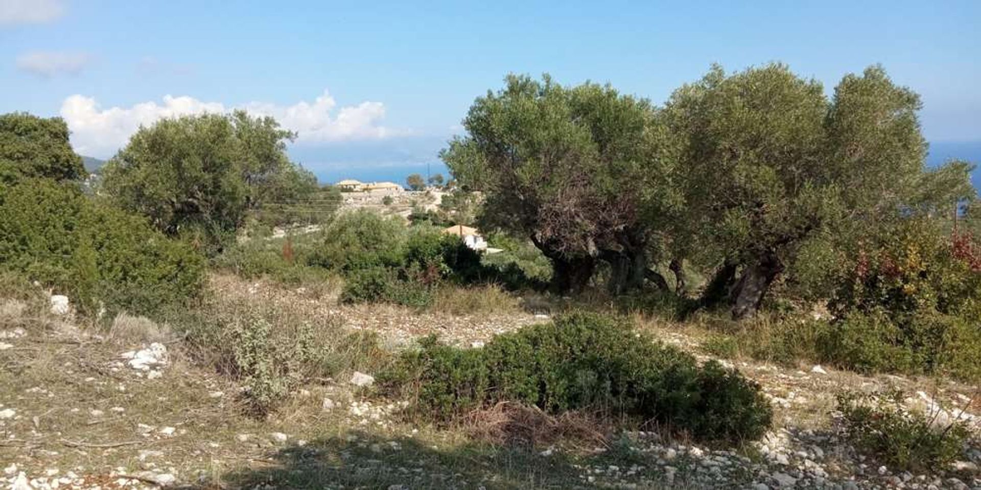 Land in Zakynthos, Zakinthos 10086714