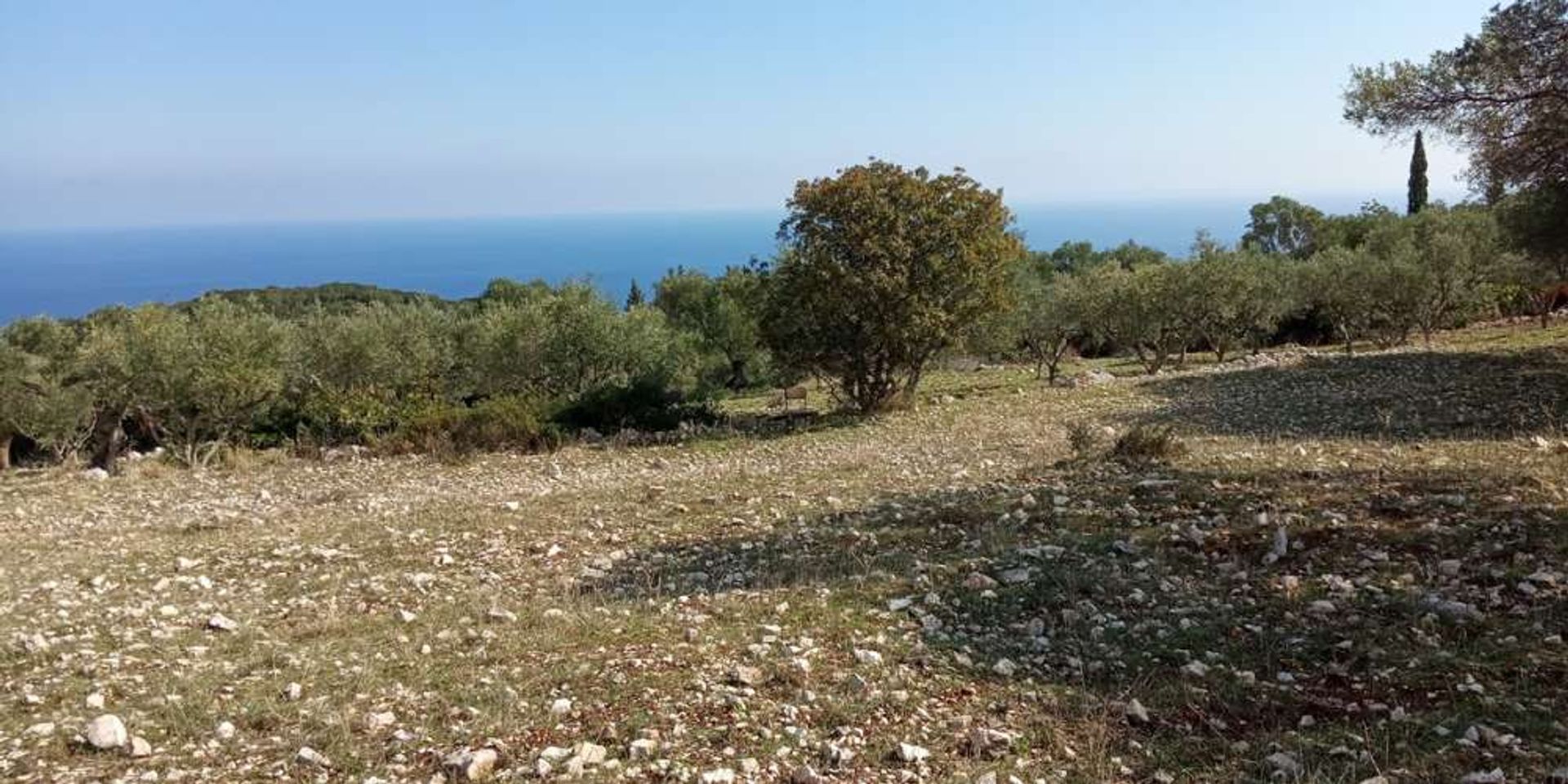 Land in Zakynthos, Zakinthos 10086714