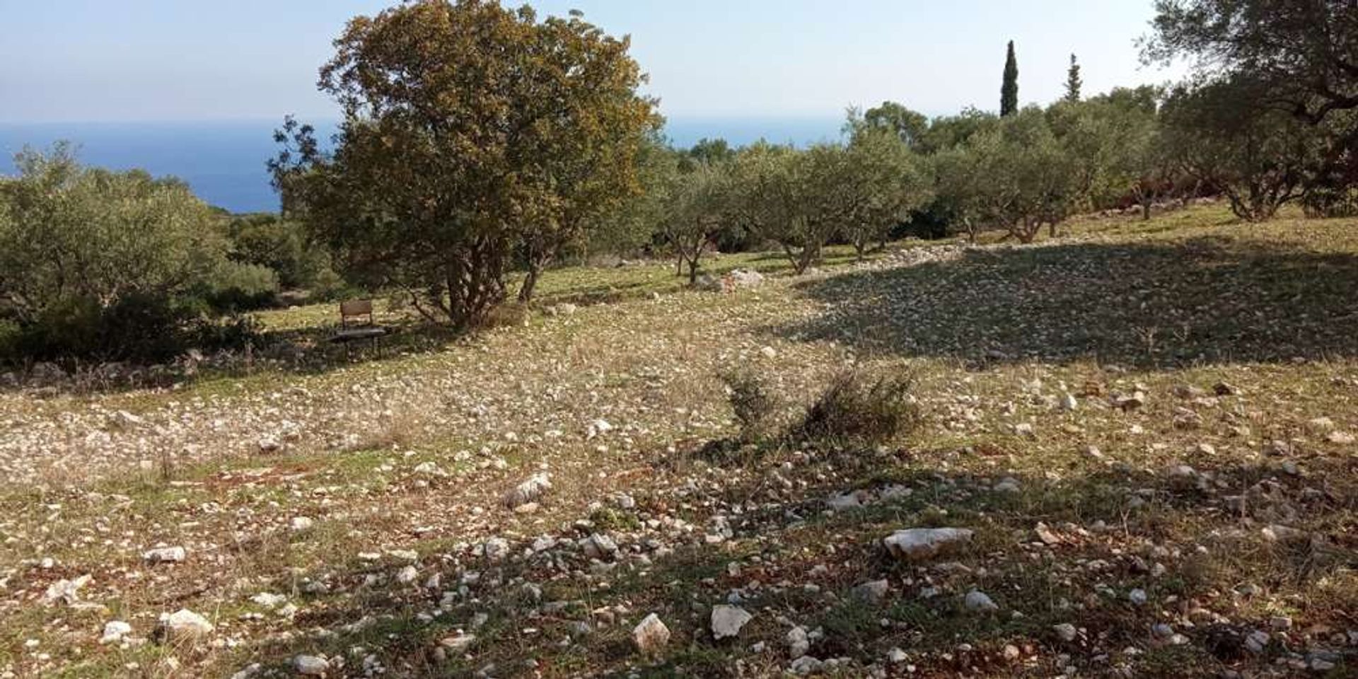 Land in Zakynthos, Zakinthos 10086714