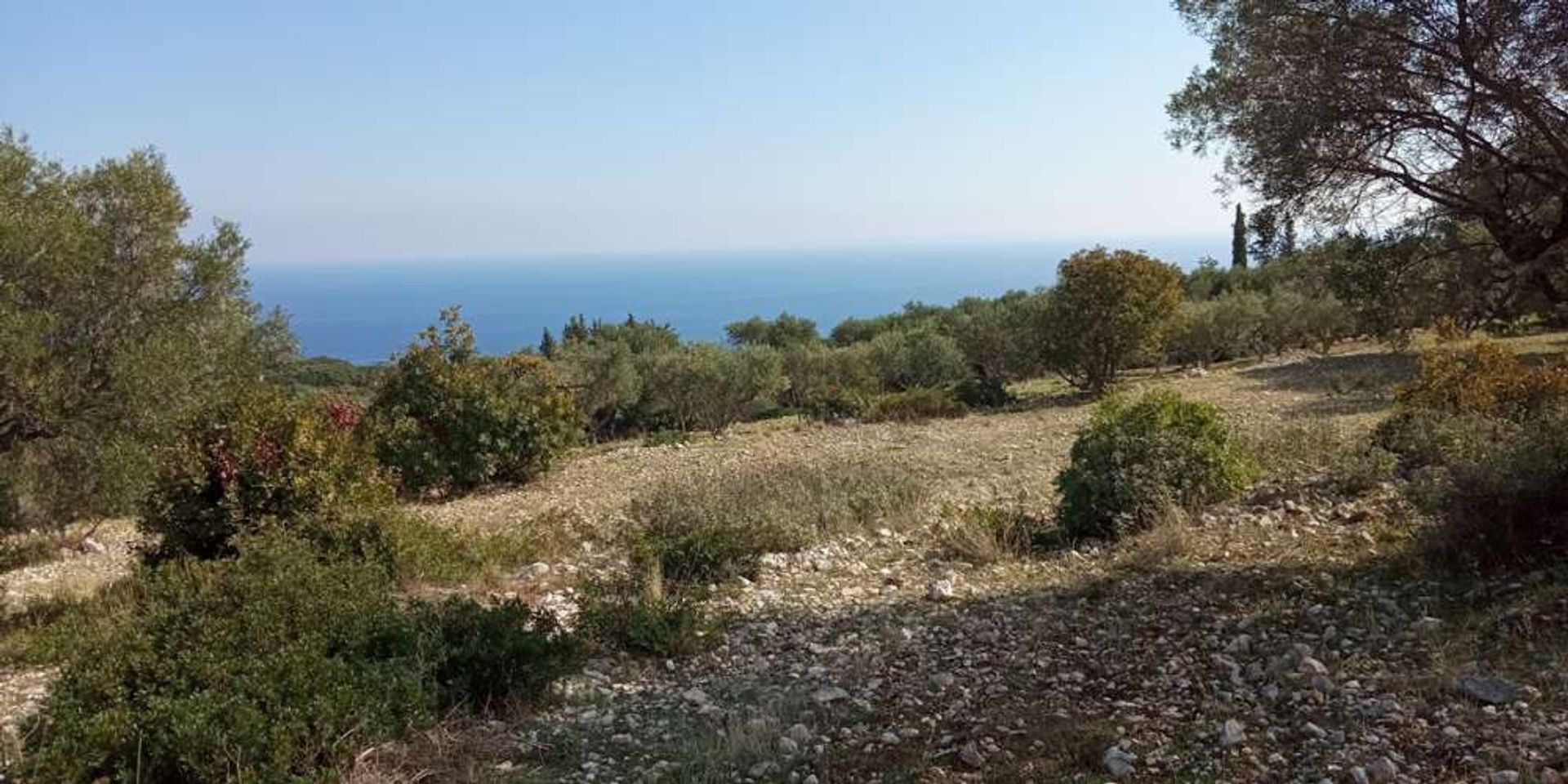 Land in Zakynthos, Zakinthos 10086714