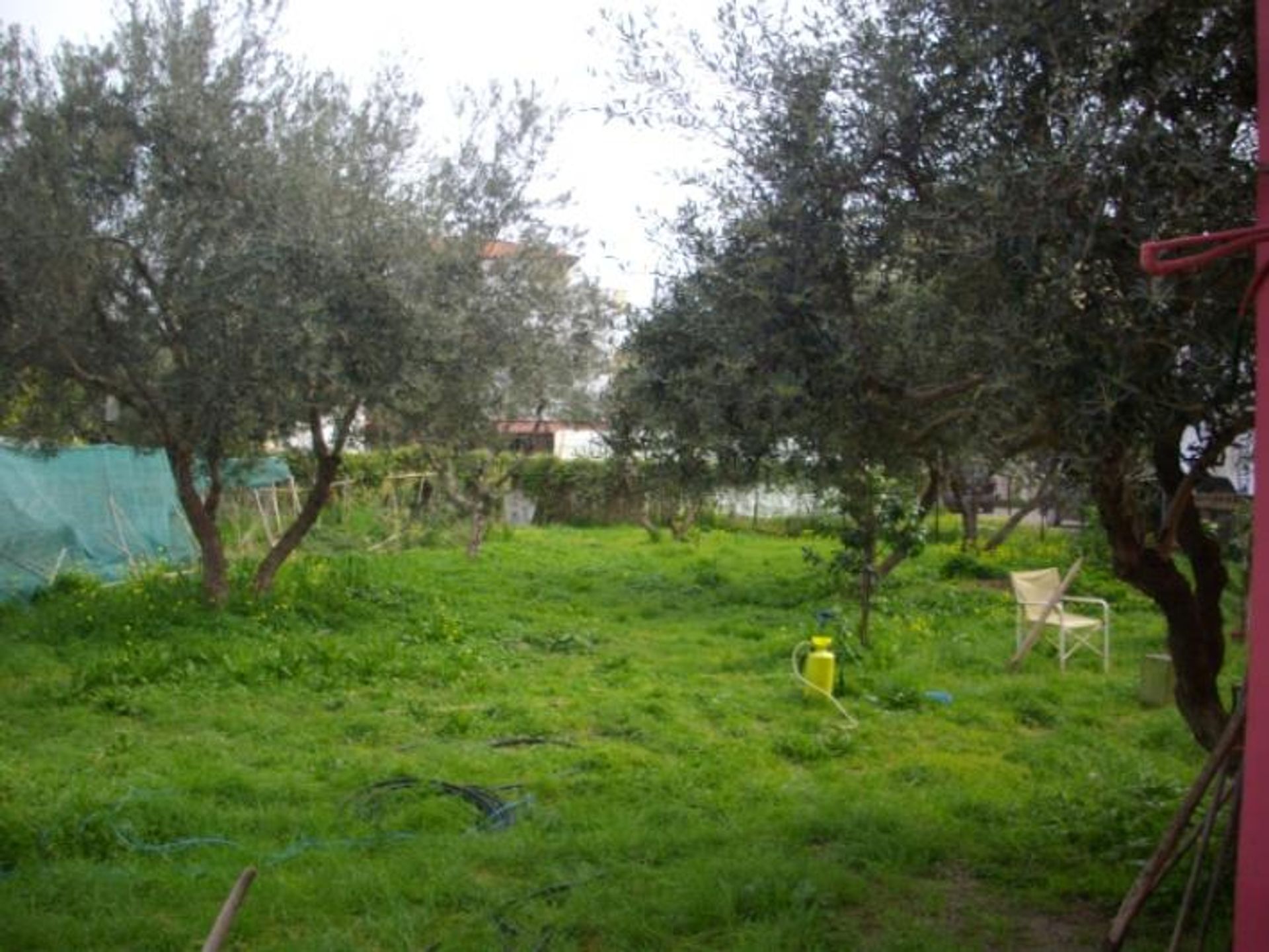 Land in Bochali, Ionië Nisia 10086716