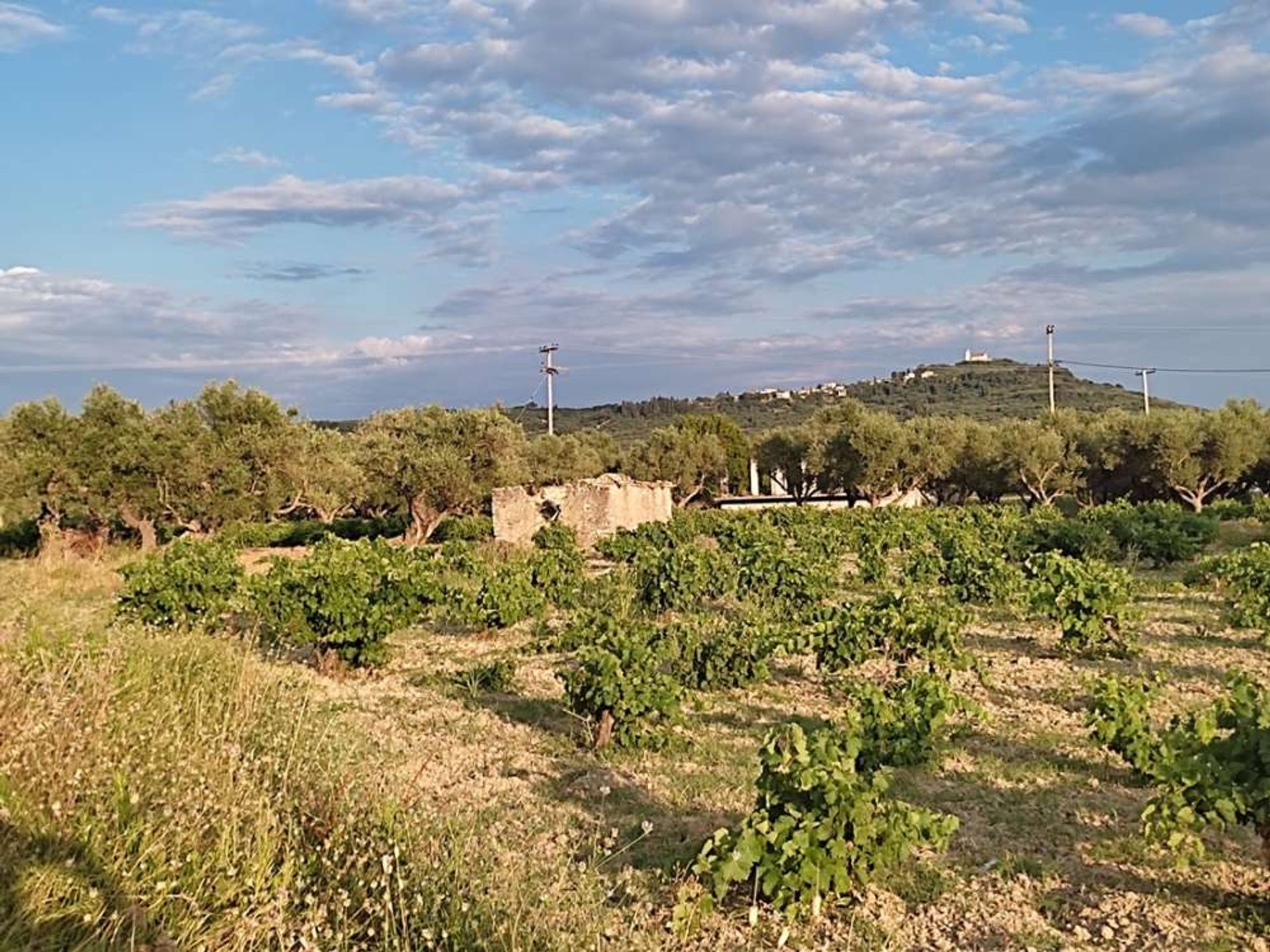 Land in Zakynthos, Zakinthos 10086717