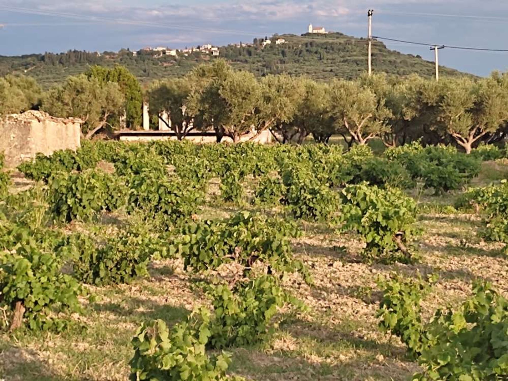 Land in Zakynthos, Zakinthos 10086717