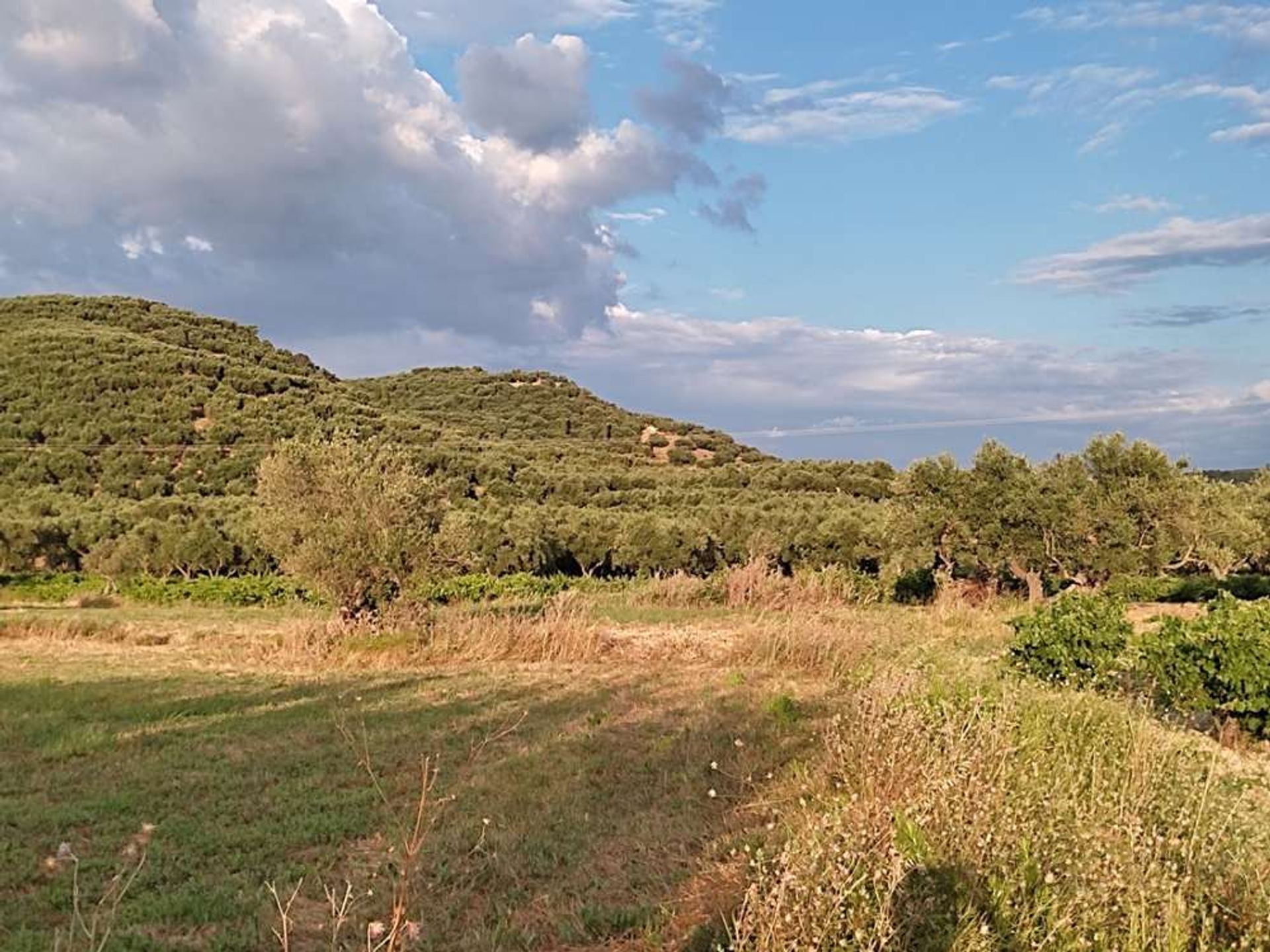 Land in Zakynthos, Zakinthos 10086717