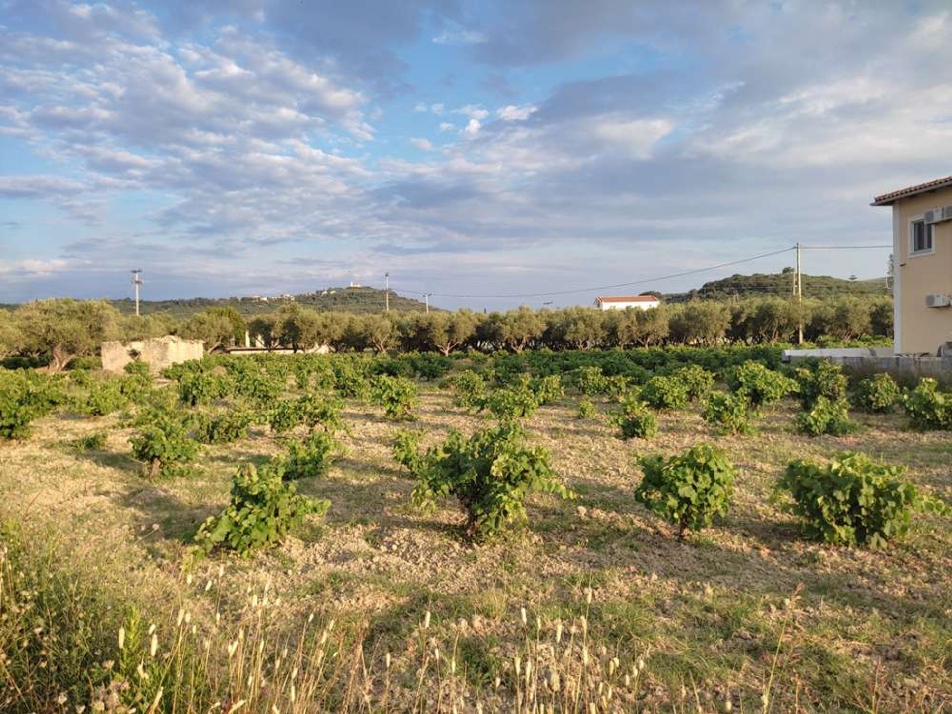 Land in Zakynthos, Zakinthos 10086717