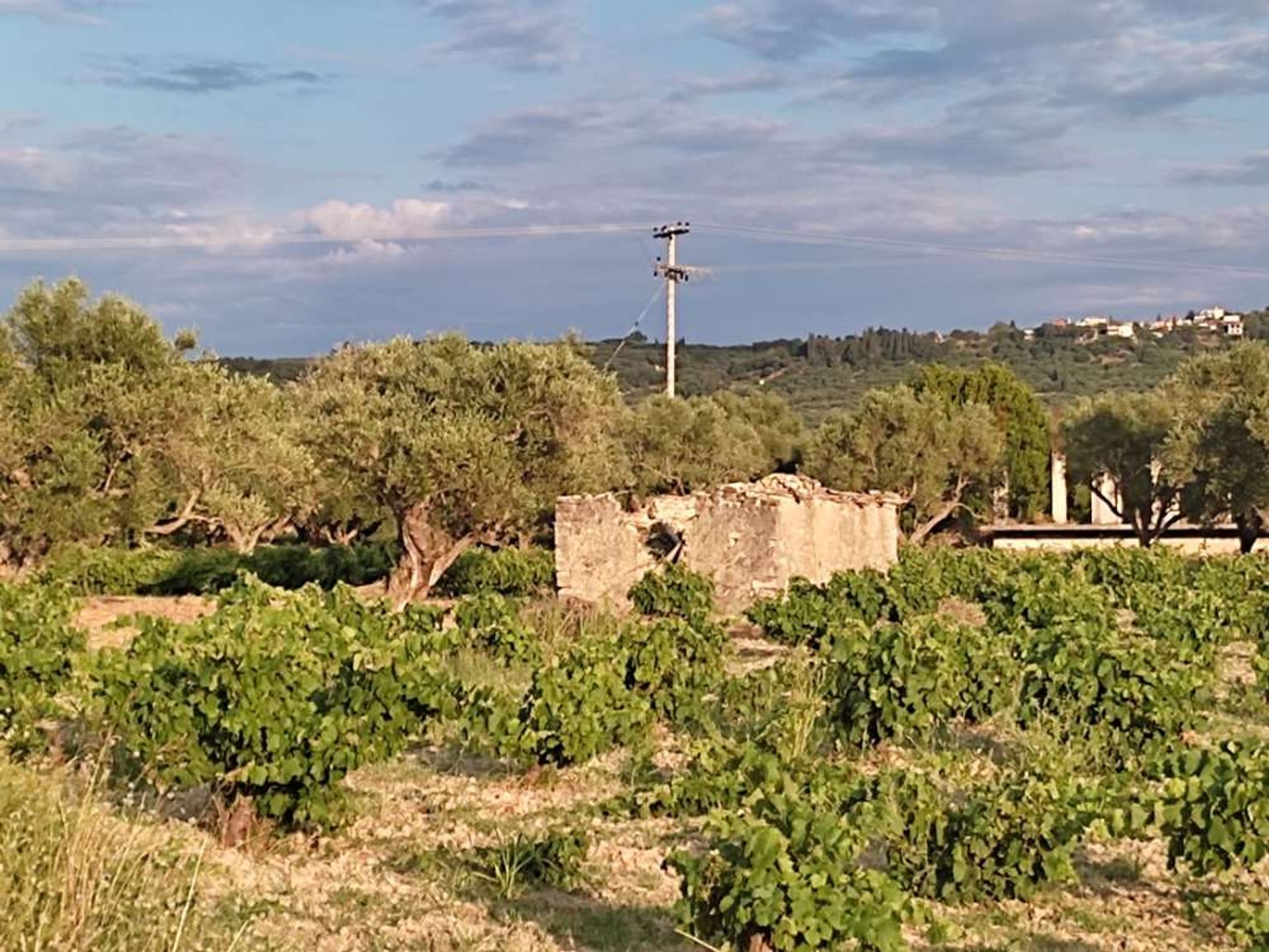 Land in Zakynthos, Zakinthos 10086717