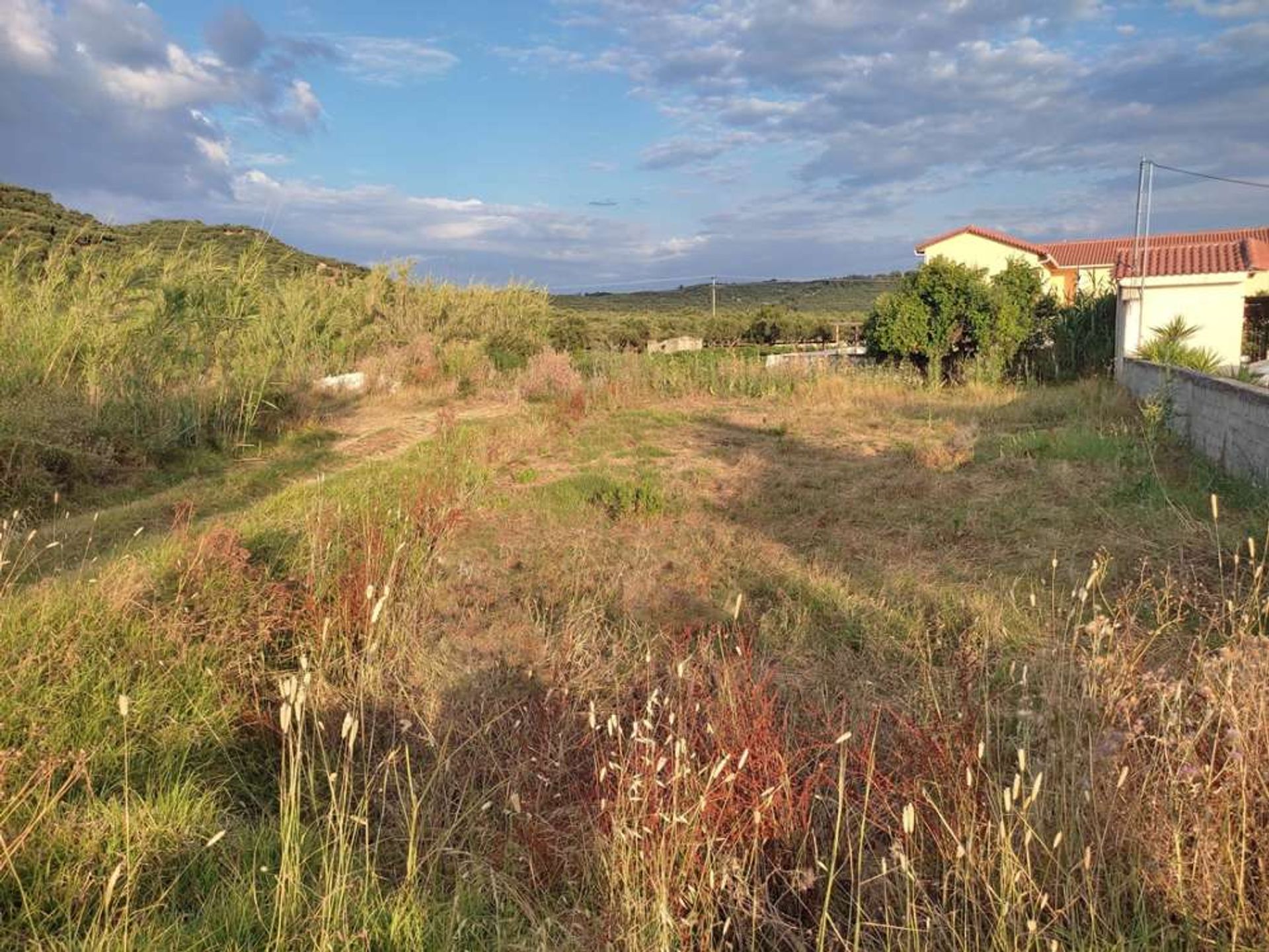 Tierra en bochalí, Jonia Nisia 10086717